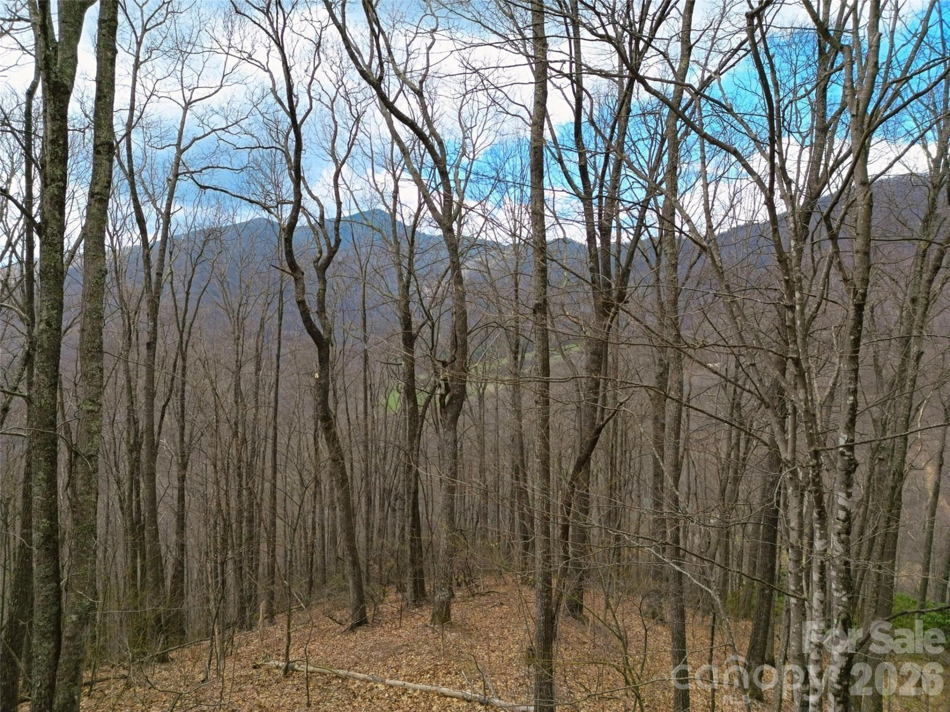 0 Legend Road #18 - Photo 27