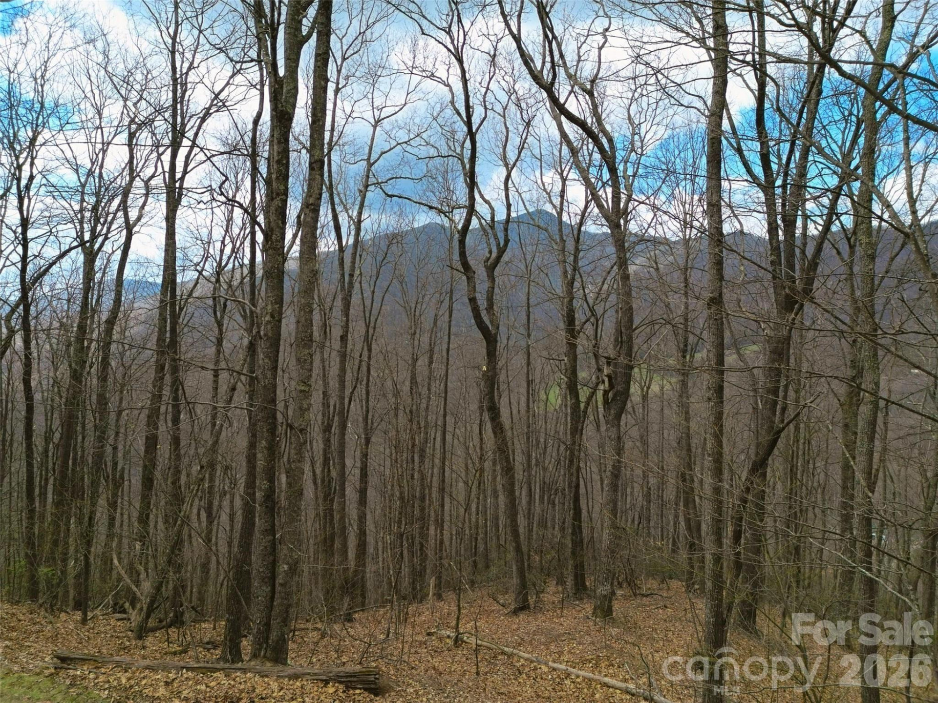 0 Legend Road #18 - Photo 28