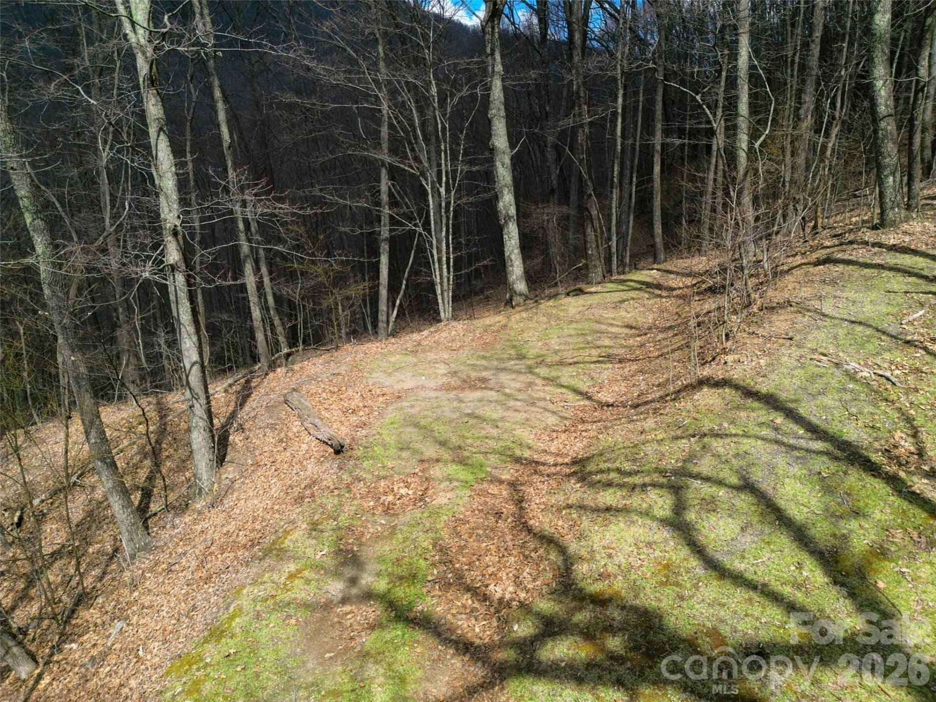 0 Legend Road #18 - Photo 8