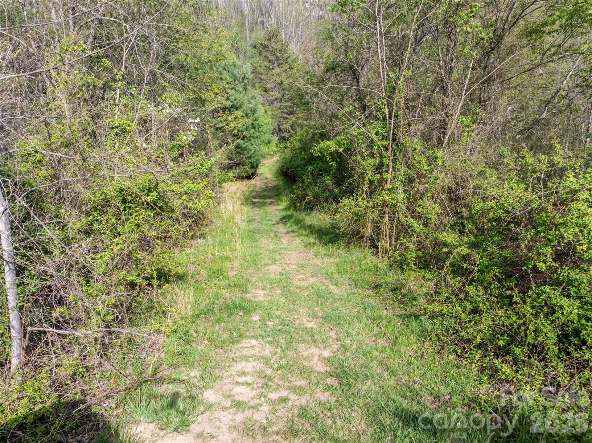 Lot 42 Sunnybrook Trail - Photo 6