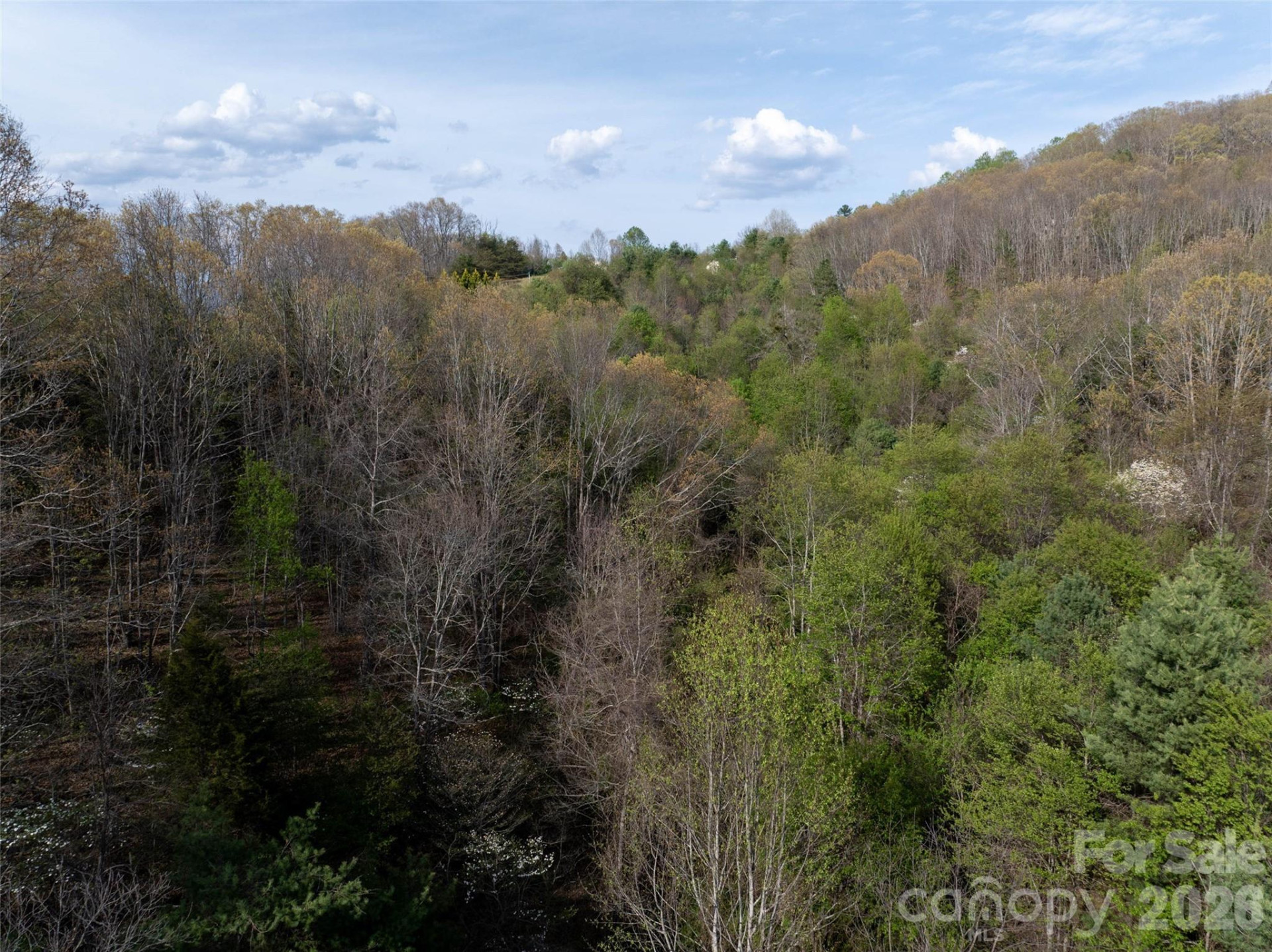 Lot 42 Sunnybrook Trail - Photo 7