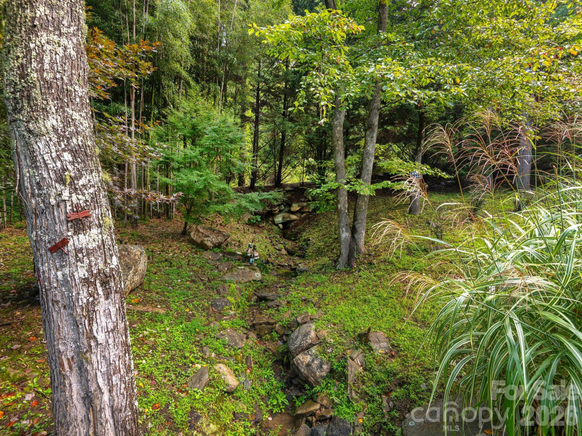 420 Chimney Rock Drive - Photo 33