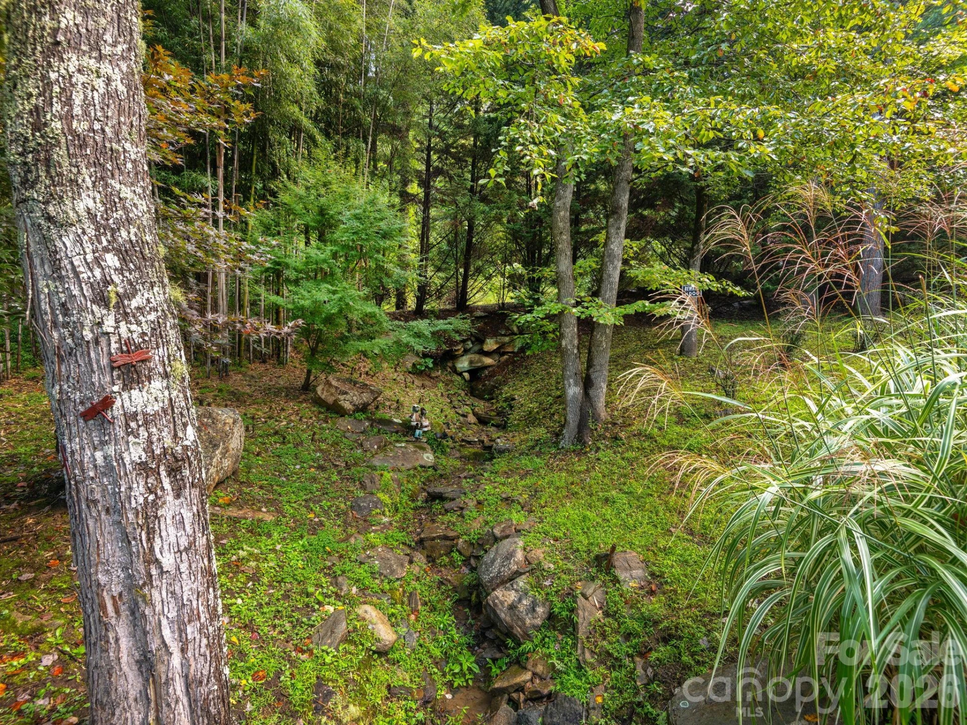 420 Chimney Rock Drive - Photo 33