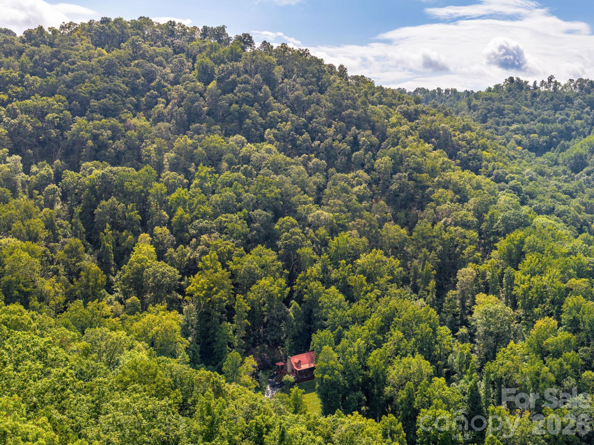 420 Chimney Rock Drive - Photo 39