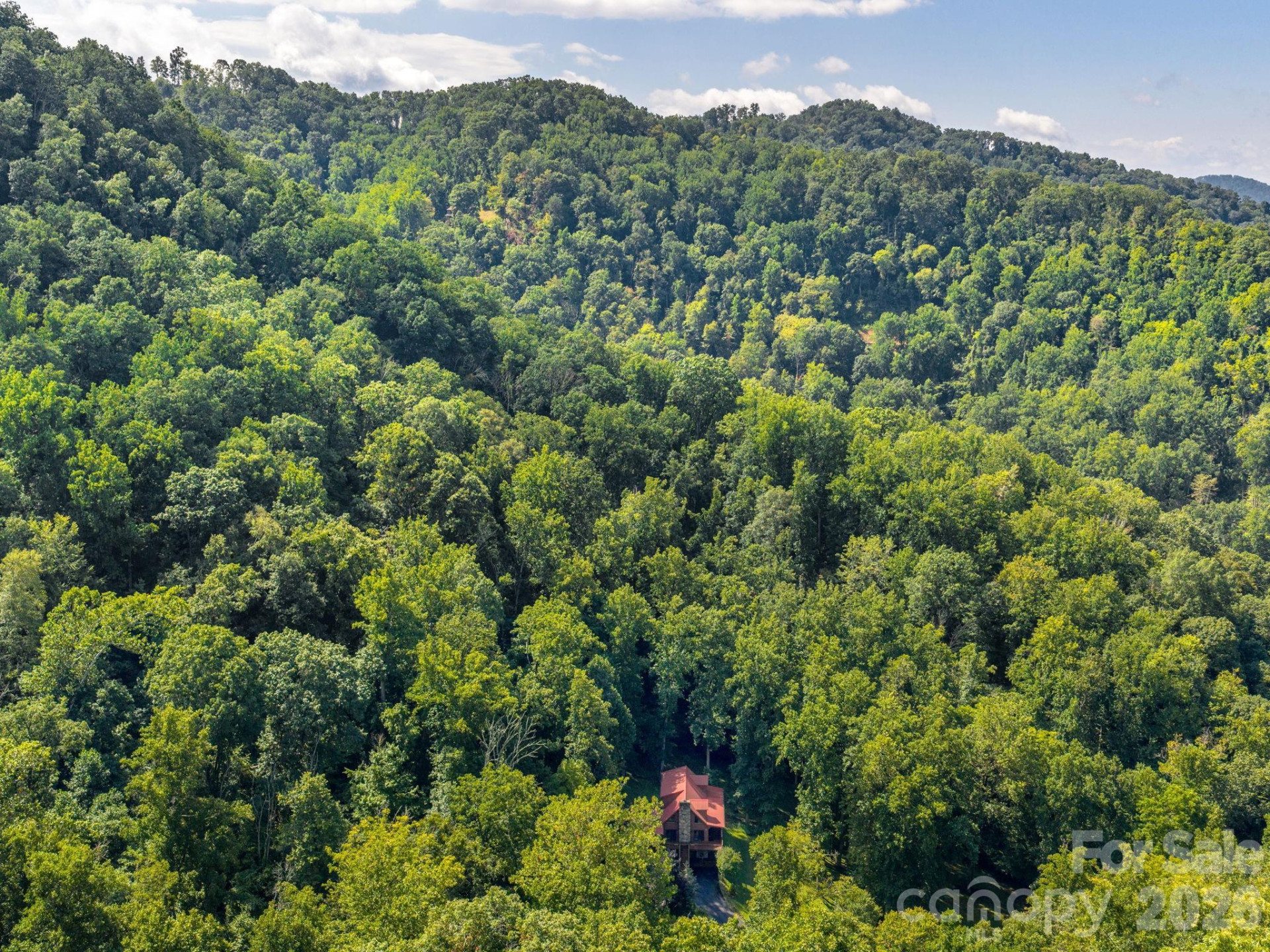 420 Chimney Rock Drive - Photo 40