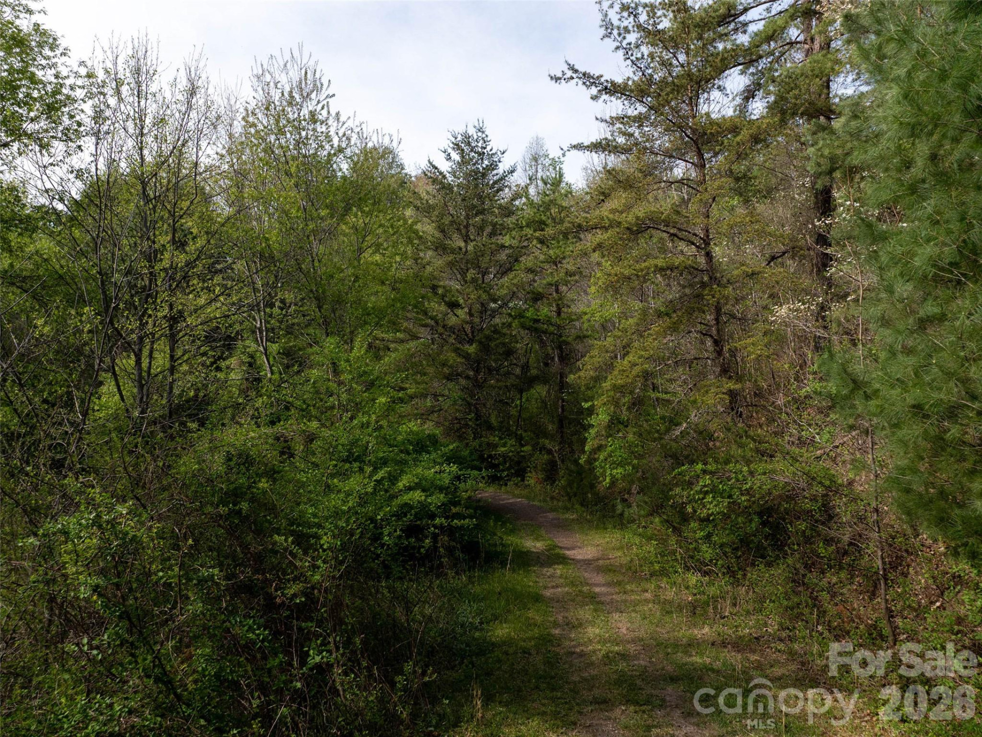 Lot 43 Sunnybrook Trail - Photo 11