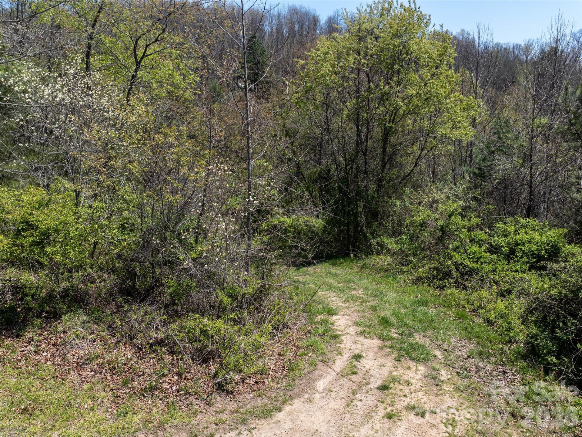 Lot 43 Sunnybrook Trail - Photo 3