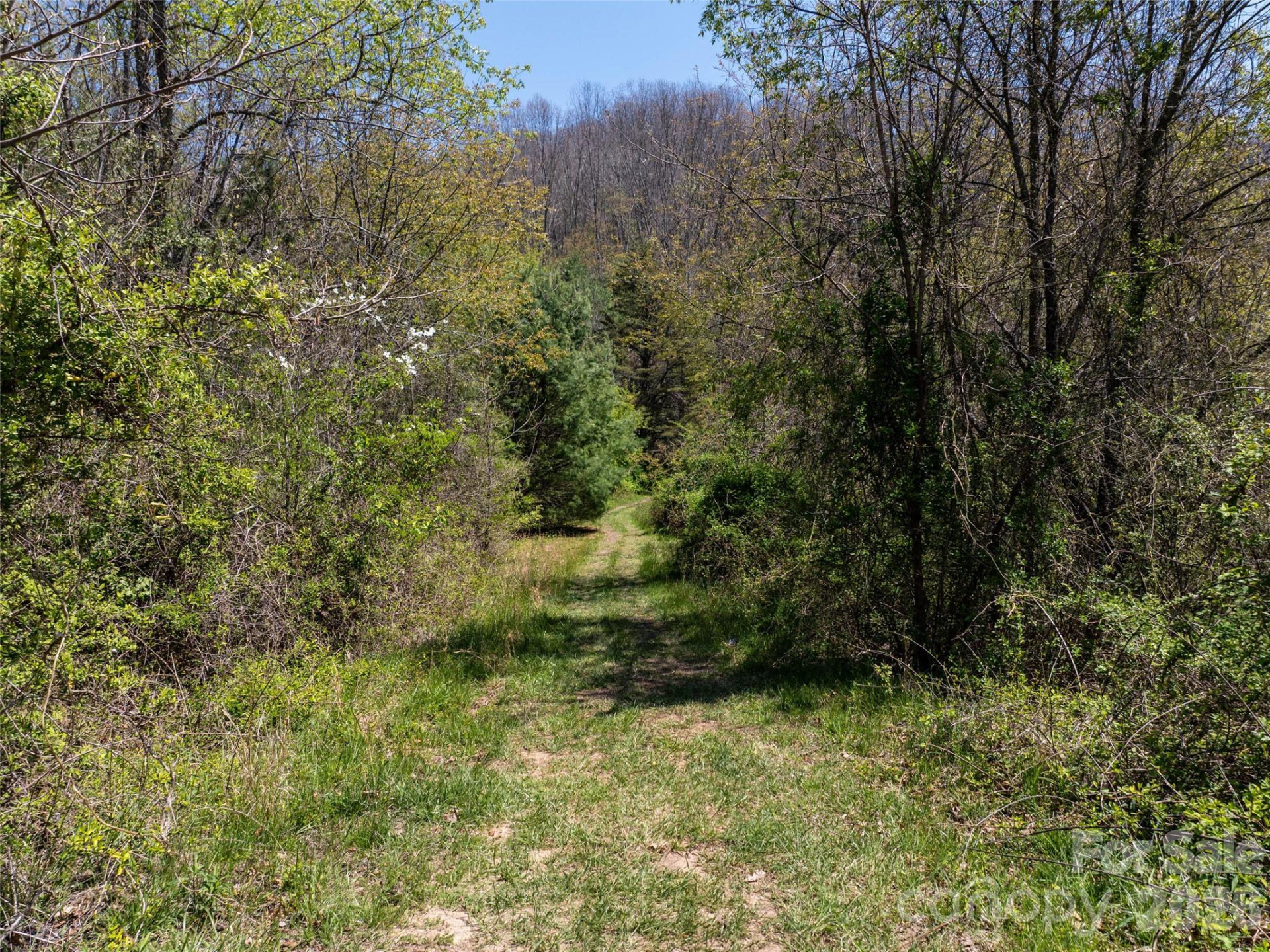 Lot 43 Sunnybrook Trail - Photo 4