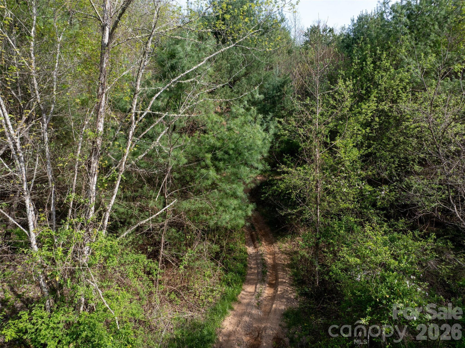 Lot 43 Sunnybrook Trail - Photo 8