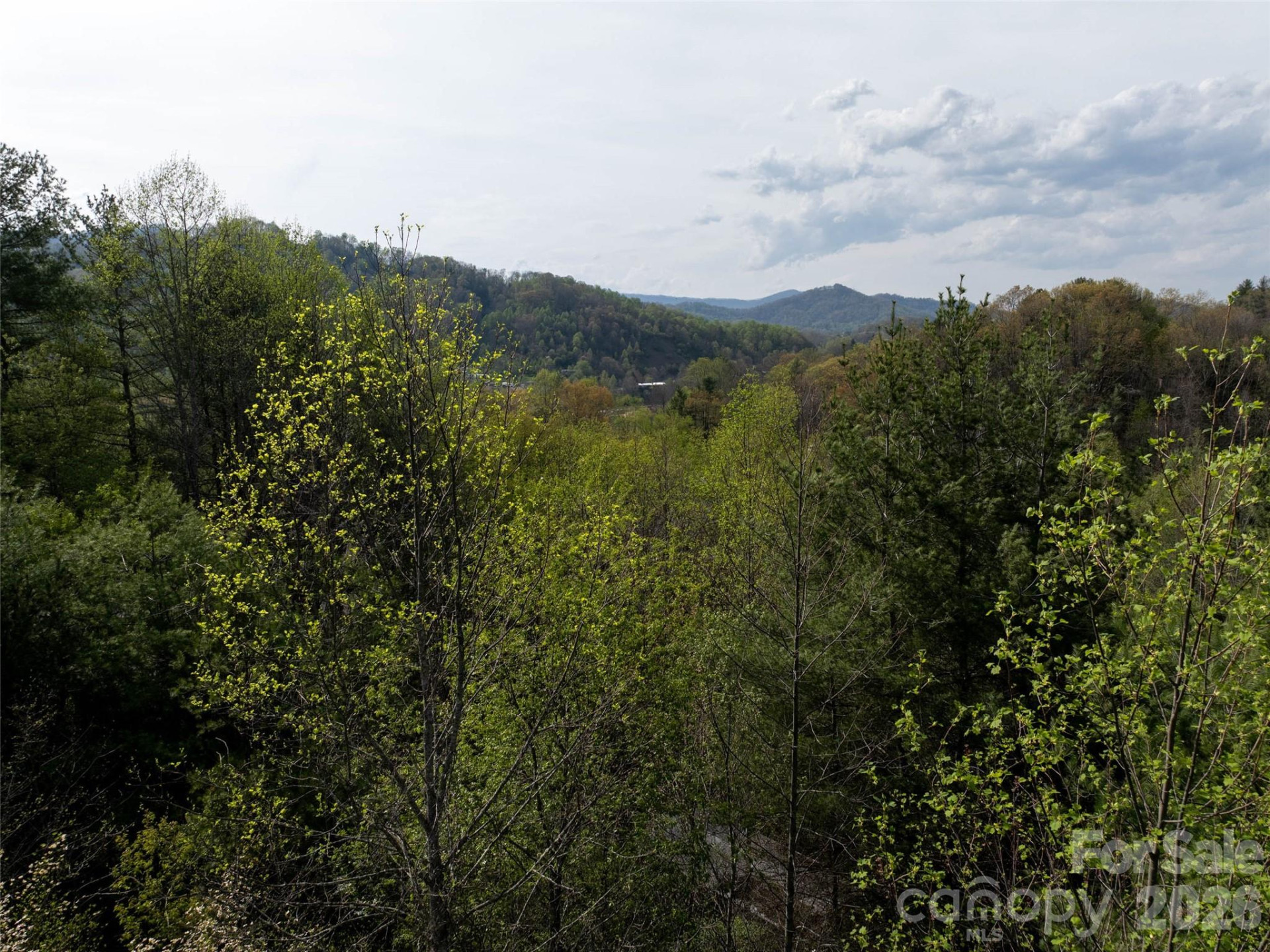 Lot 43 Sunnybrook Trail - Photo 9