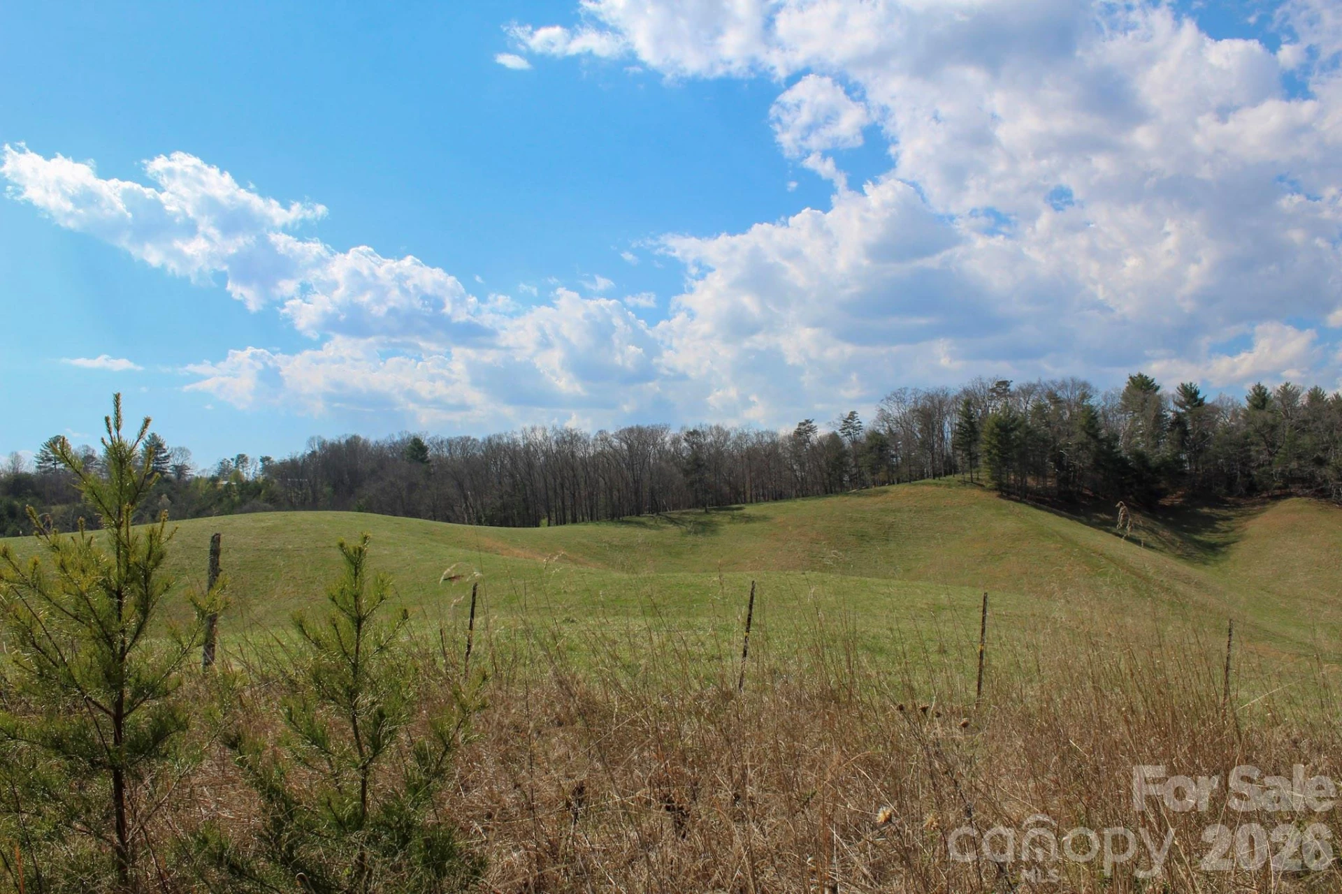 99999 Fletcher Martin Road - Photo 2