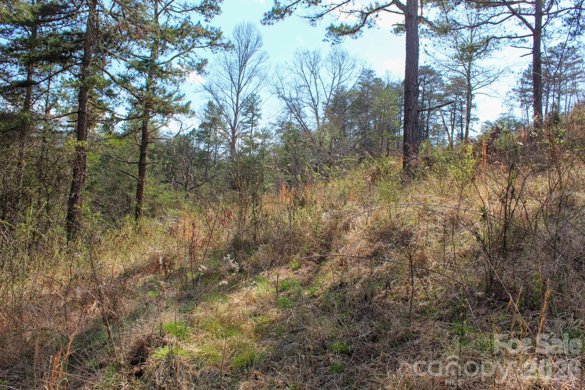 99999 Fletcher Martin Road - Photo 16