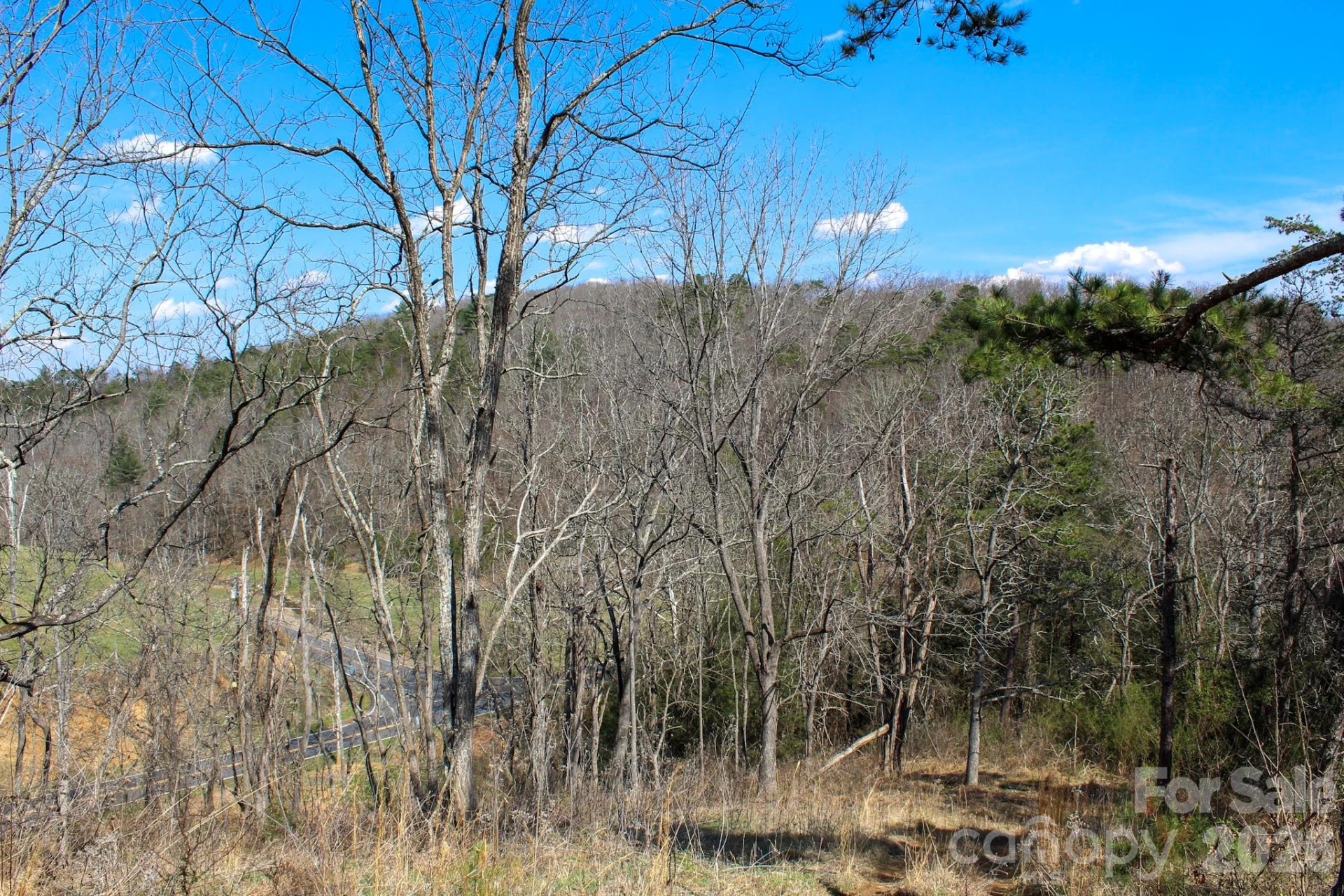 99999 Fletcher Martin Road - Photo 17