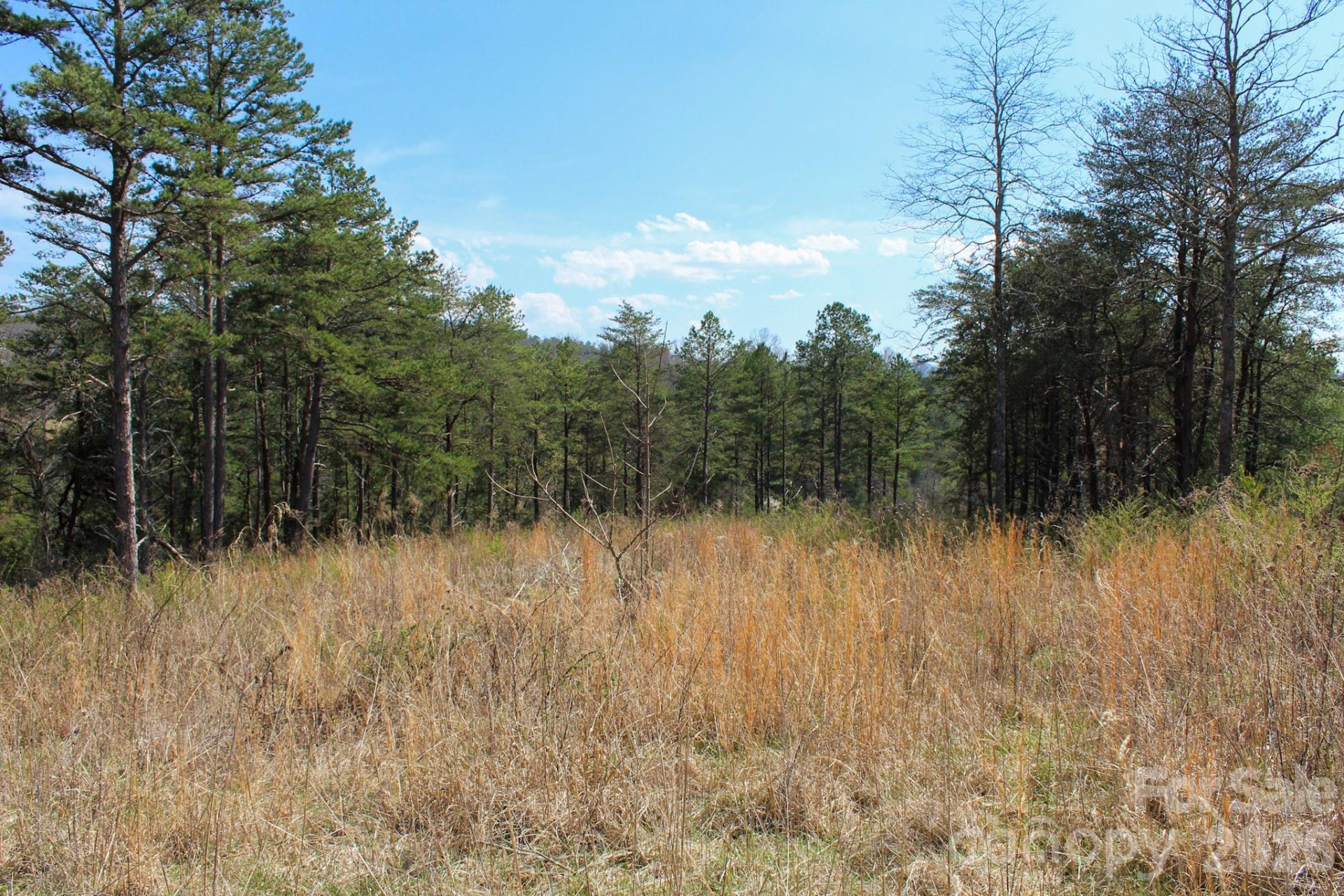 99999 Fletcher Martin Road - Photo 18