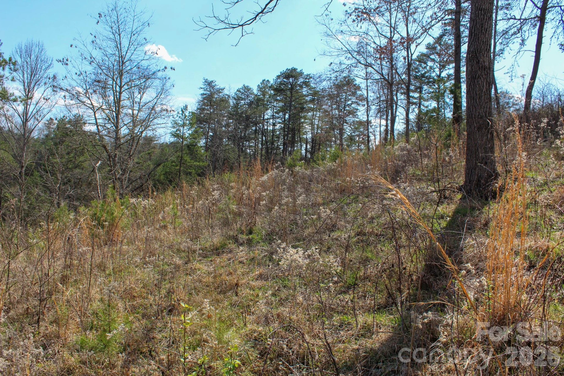 99999 Fletcher Martin Road - Photo 19