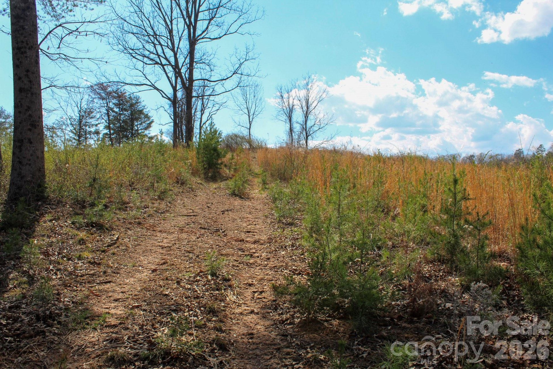 99999 Fletcher Martin Road - Photo 20