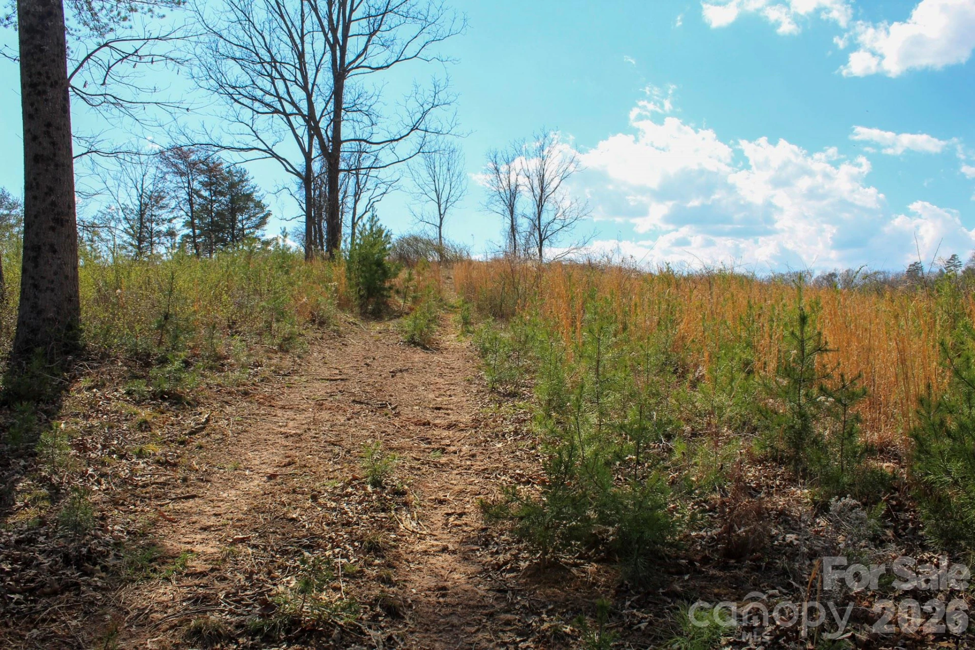 99999 Fletcher Martin Road - Photo 20