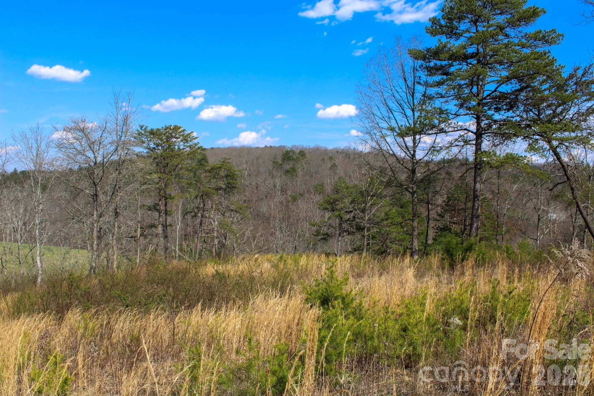 99999 Fletcher Martin Road - Photo 3