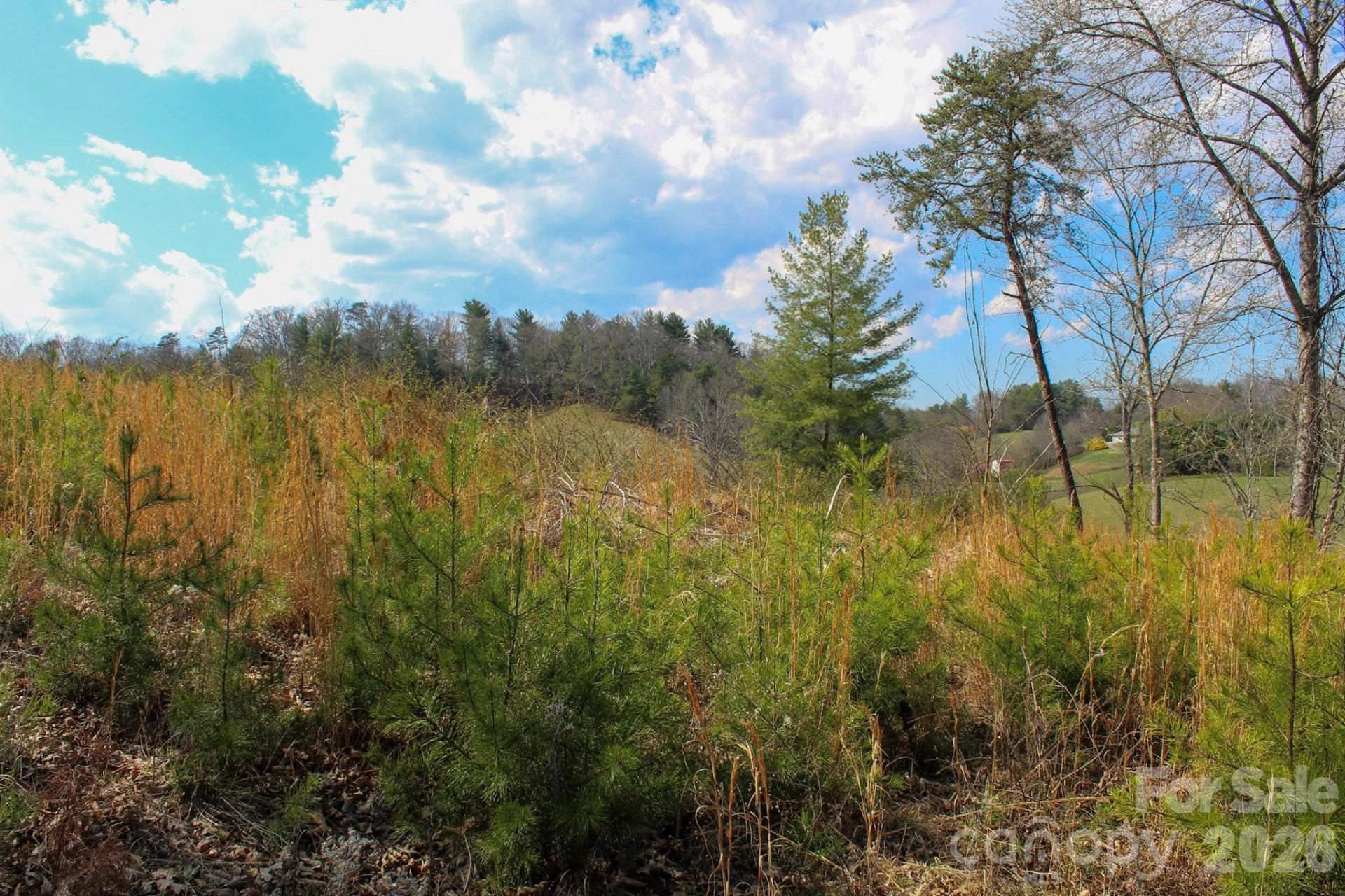 99999 Fletcher Martin Road - Photo 21
