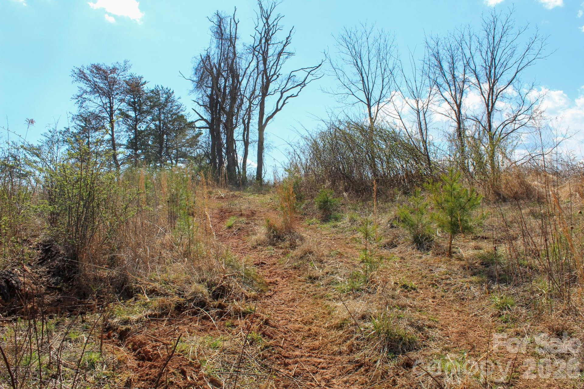 99999 Fletcher Martin Road - Photo 22