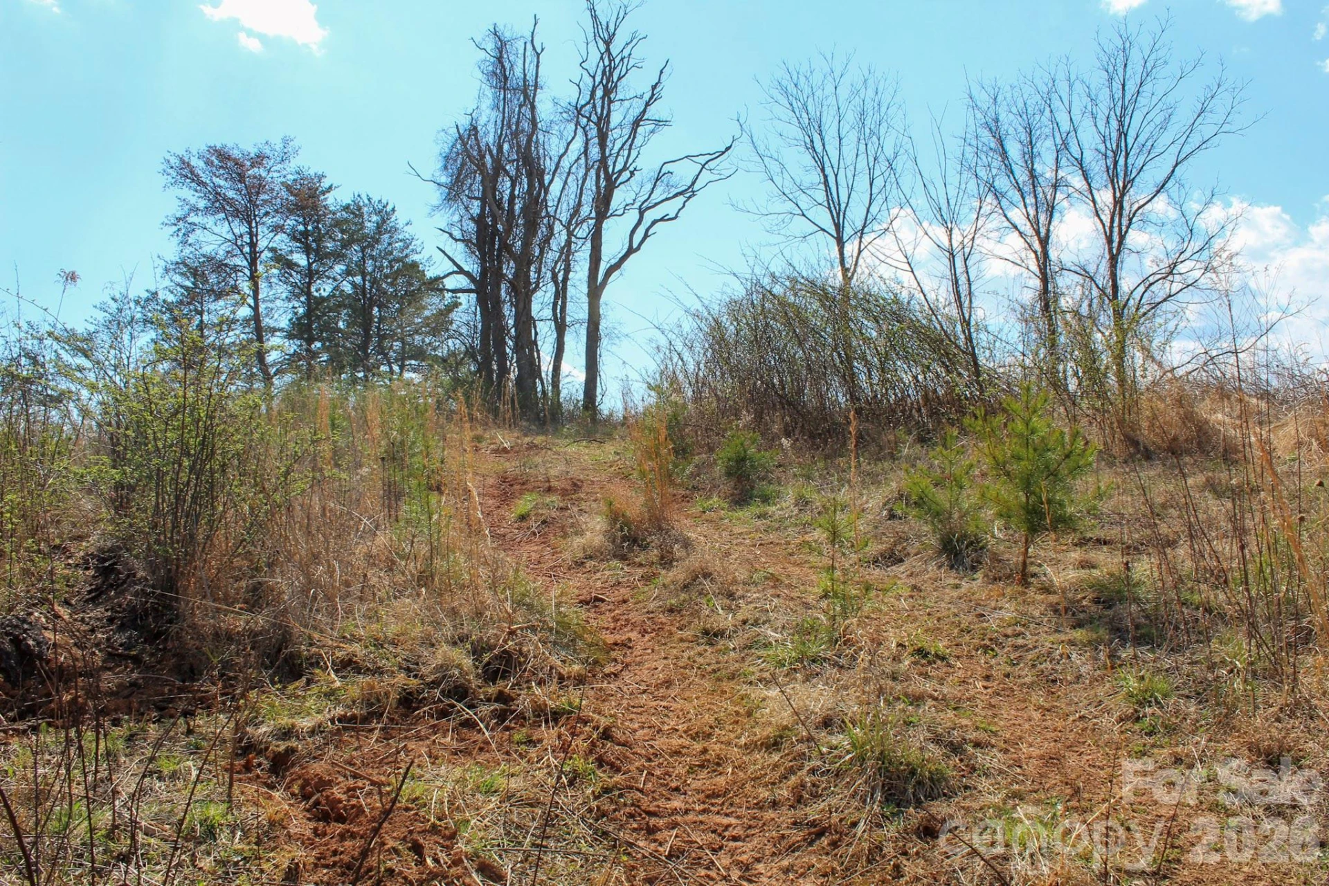 99999 Fletcher Martin Road - Photo 22