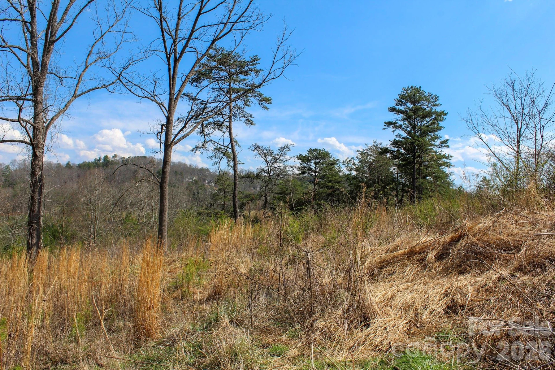 99999 Fletcher Martin Road - Photo 23