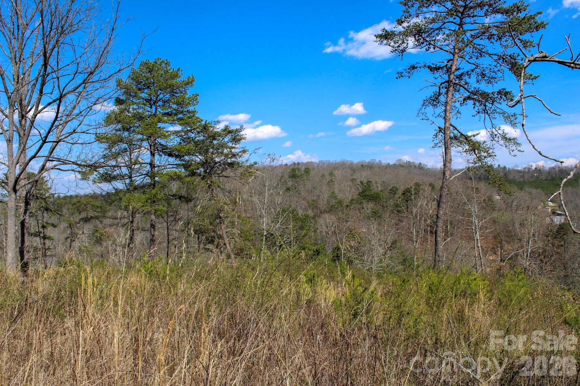 99999 Fletcher Martin Road - Photo 26