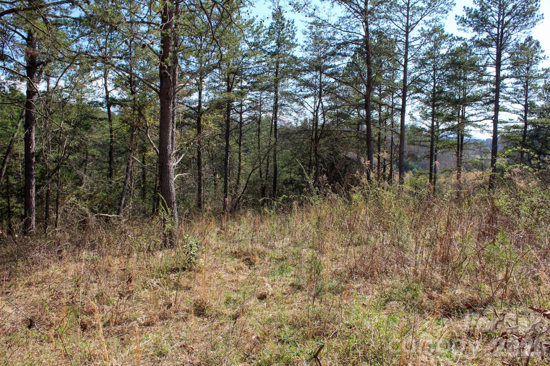 99999 Fletcher Martin Road - Photo 27
