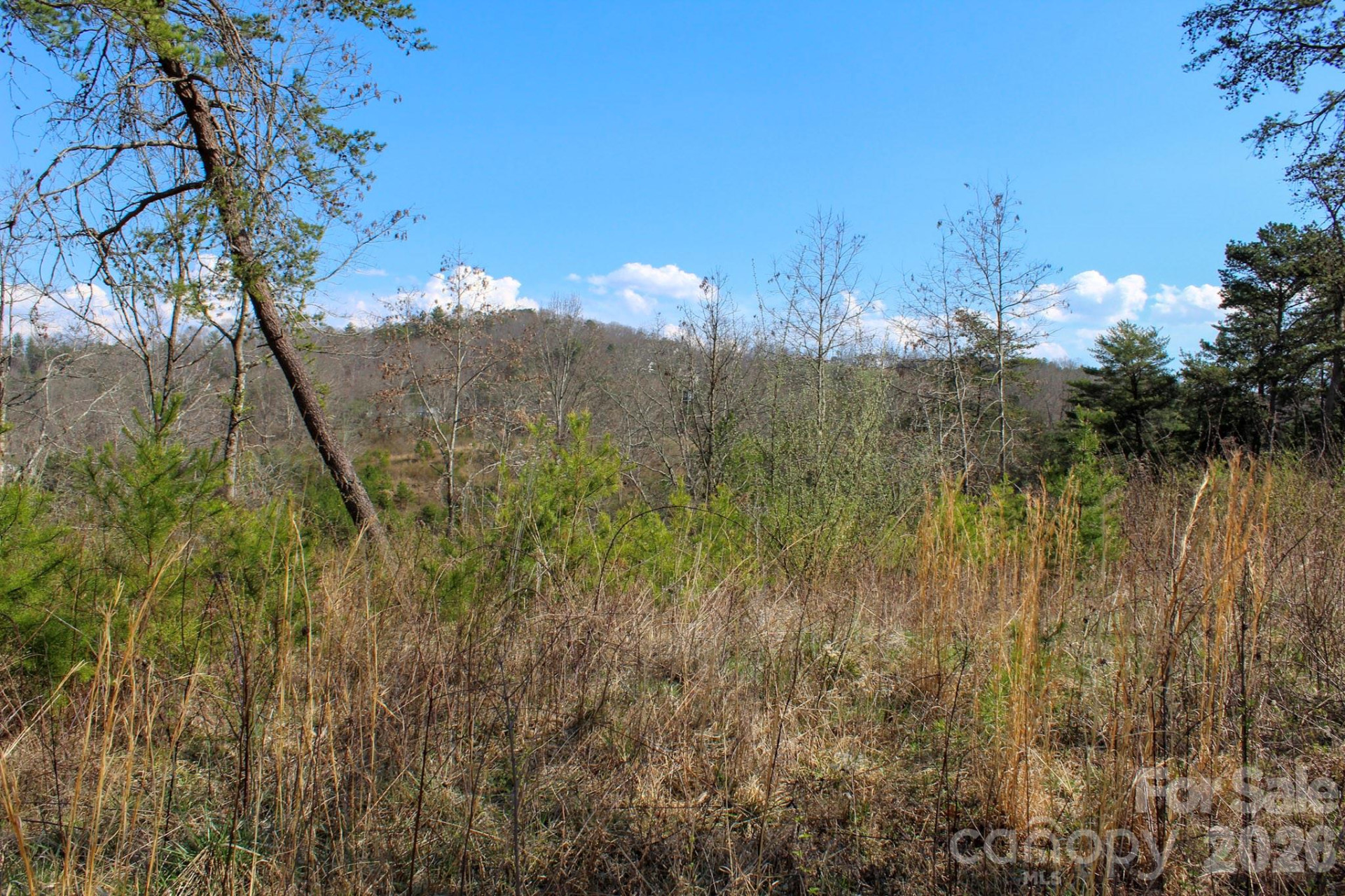 99999 Fletcher Martin Road - Photo 28