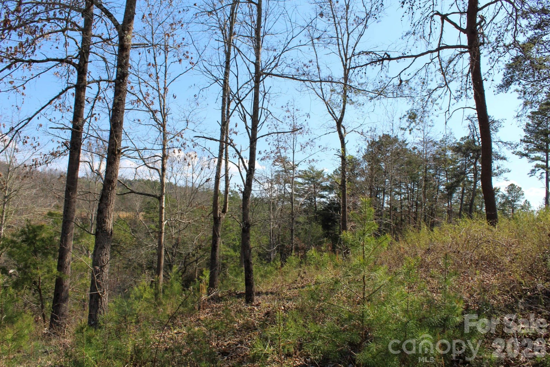 99999 Fletcher Martin Road - Photo 29