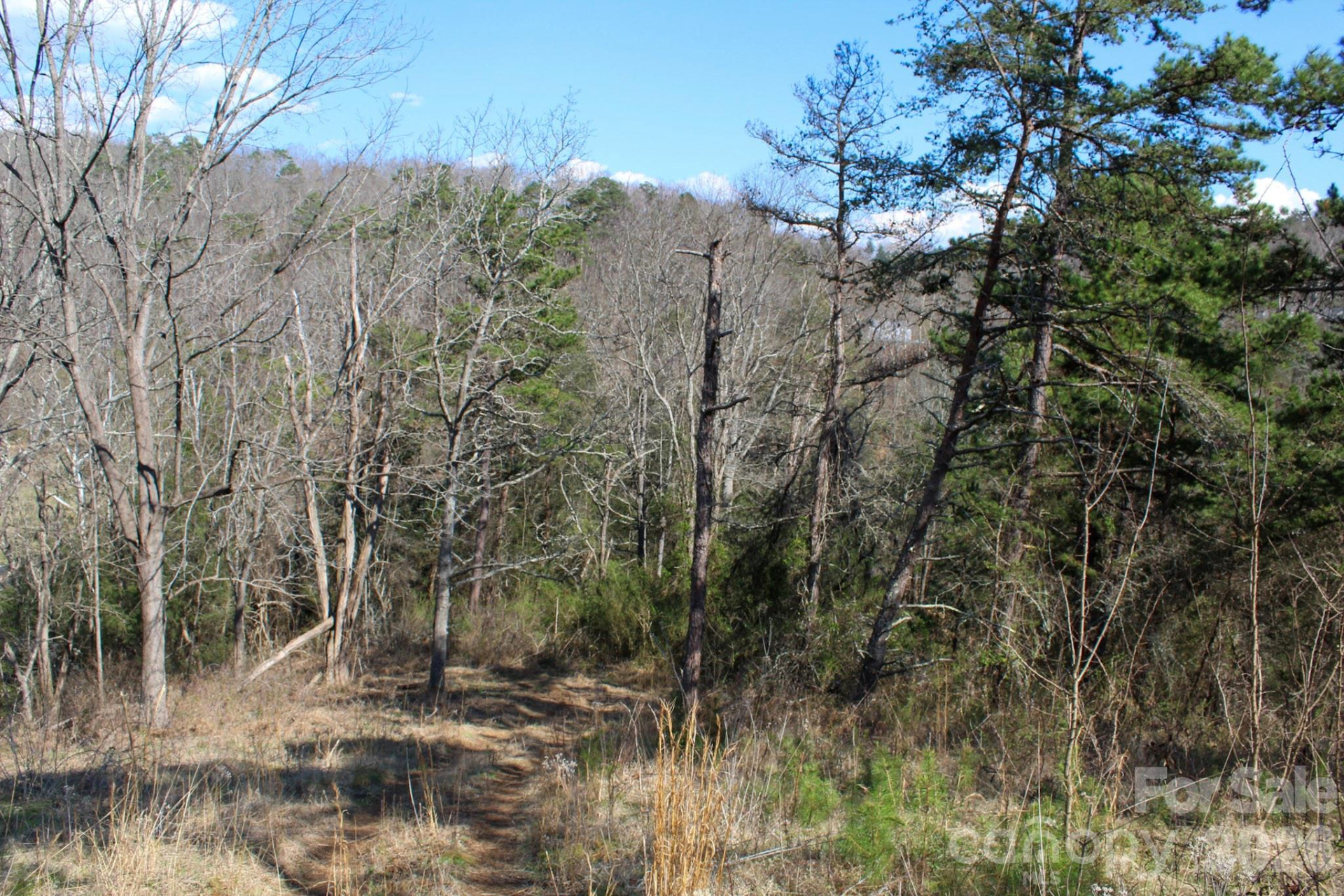99999 Fletcher Martin Road - Photo 30