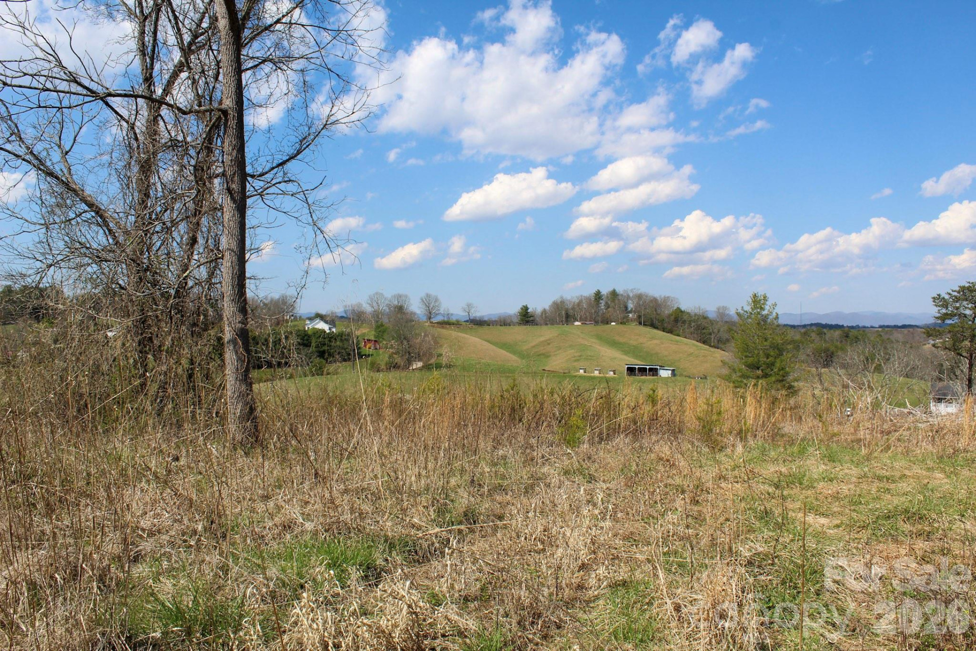 99999 Fletcher Martin Road - Photo 4