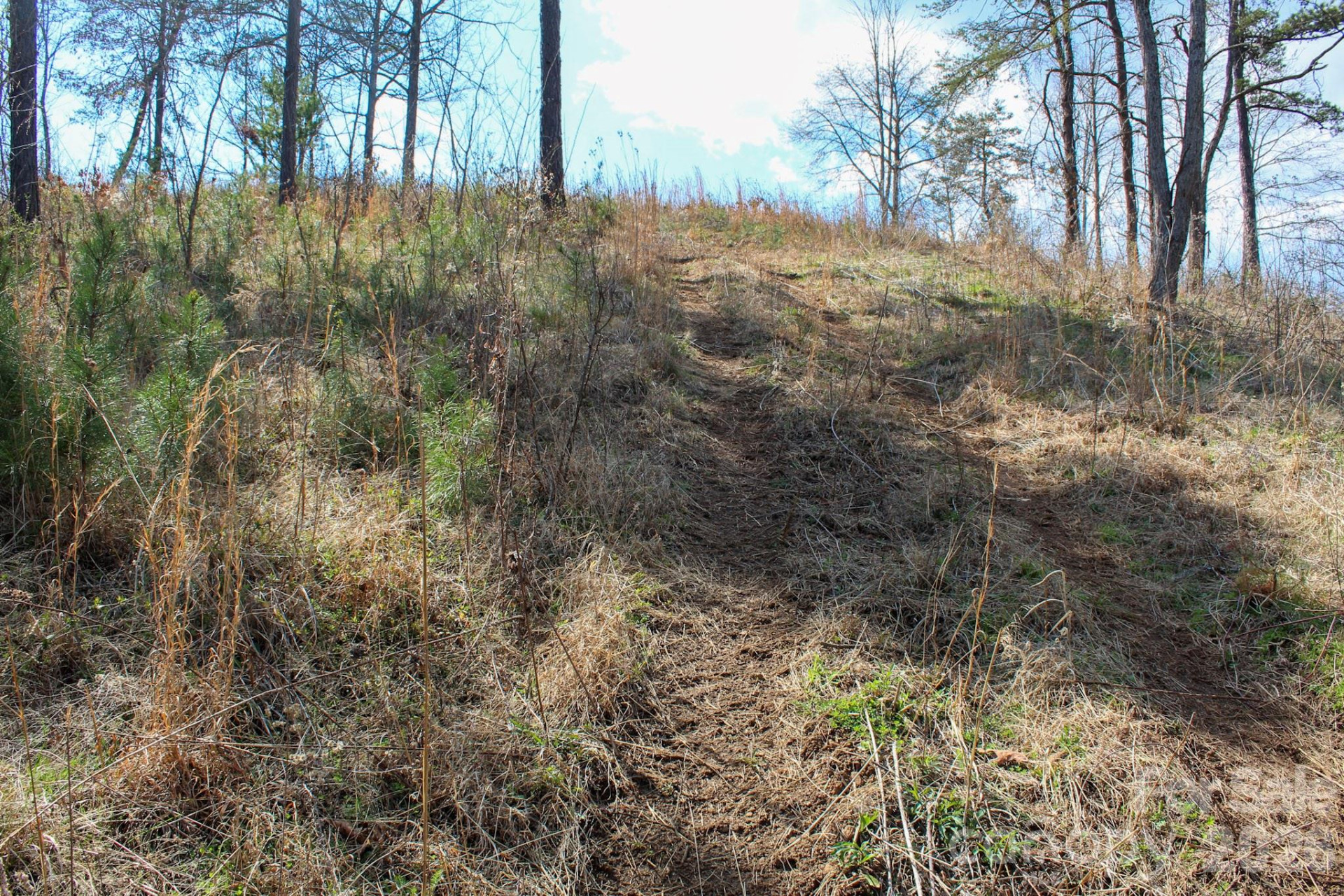 99999 Fletcher Martin Road - Photo 31