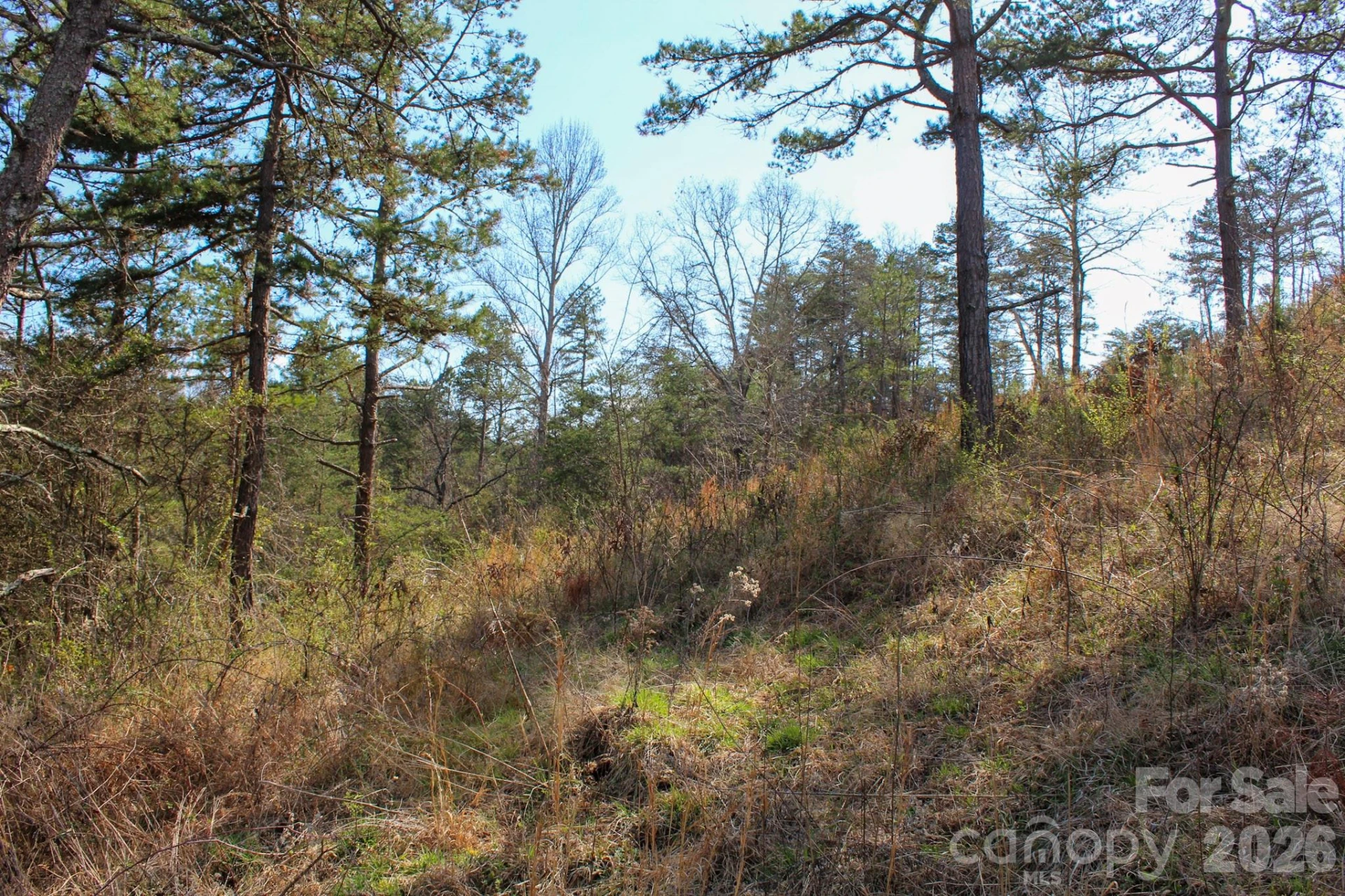 99999 Fletcher Martin Road - Photo 32