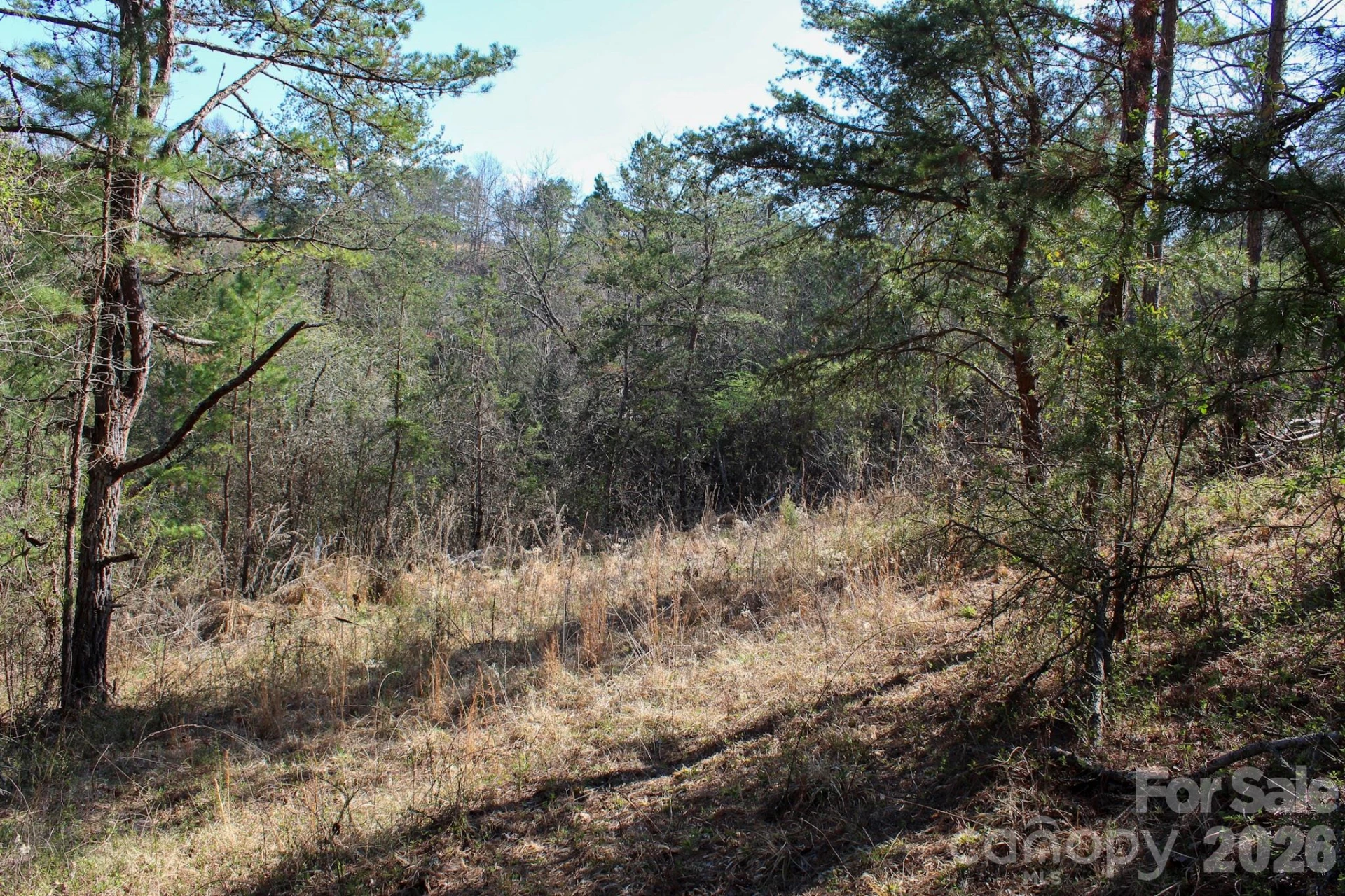 99999 Fletcher Martin Road - Photo 33