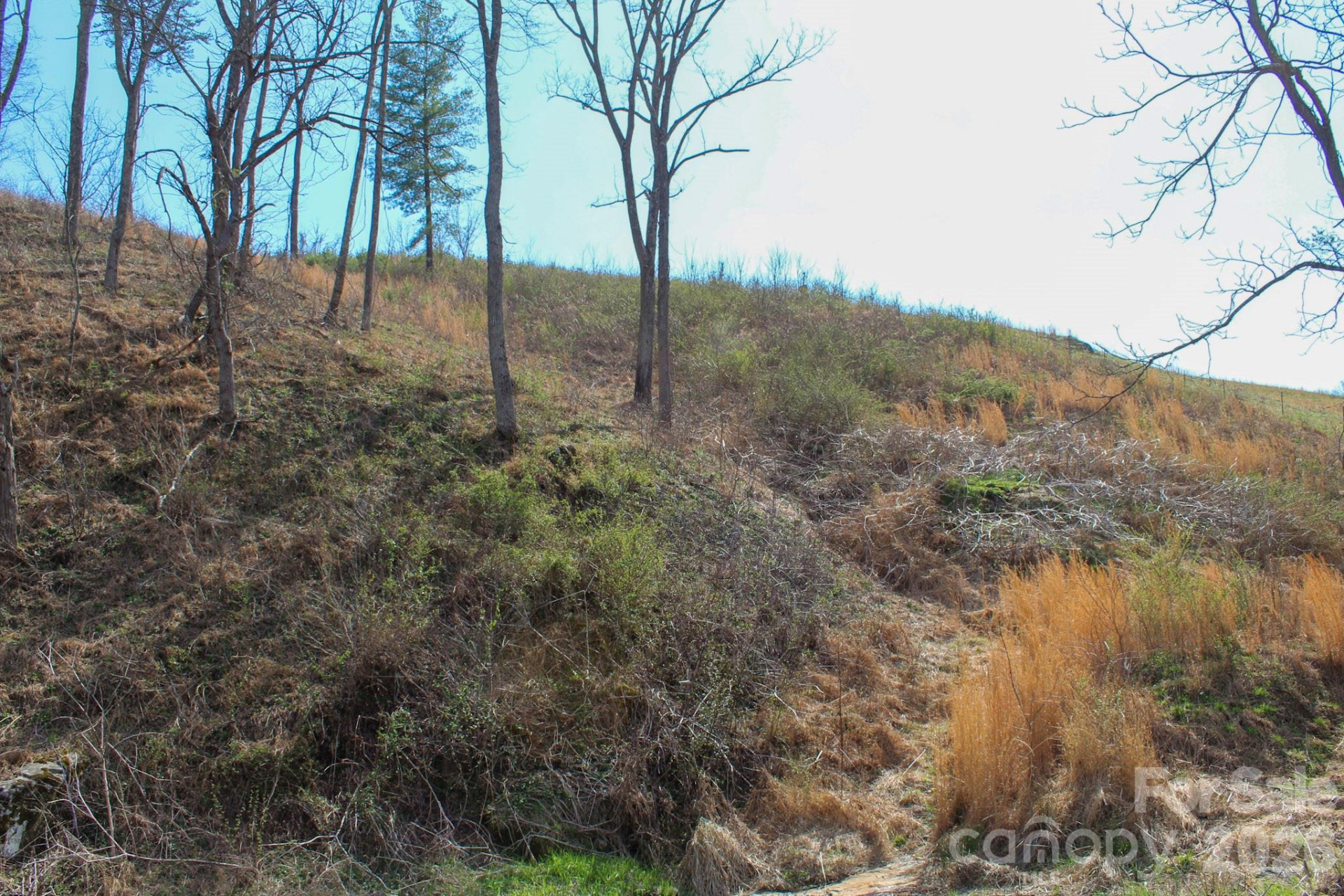 99999 Fletcher Martin Road - Photo 36