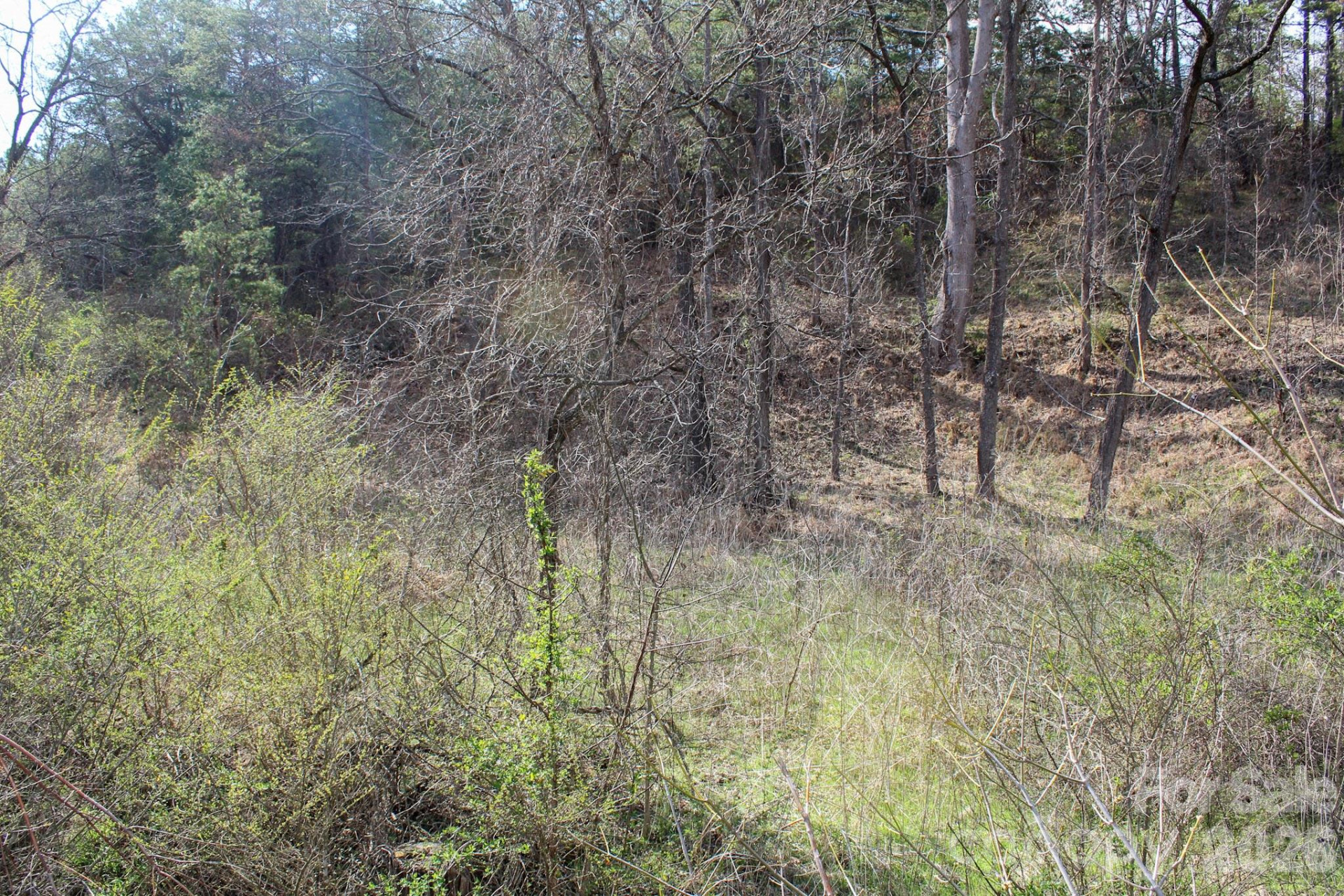 99999 Fletcher Martin Road - Photo 37