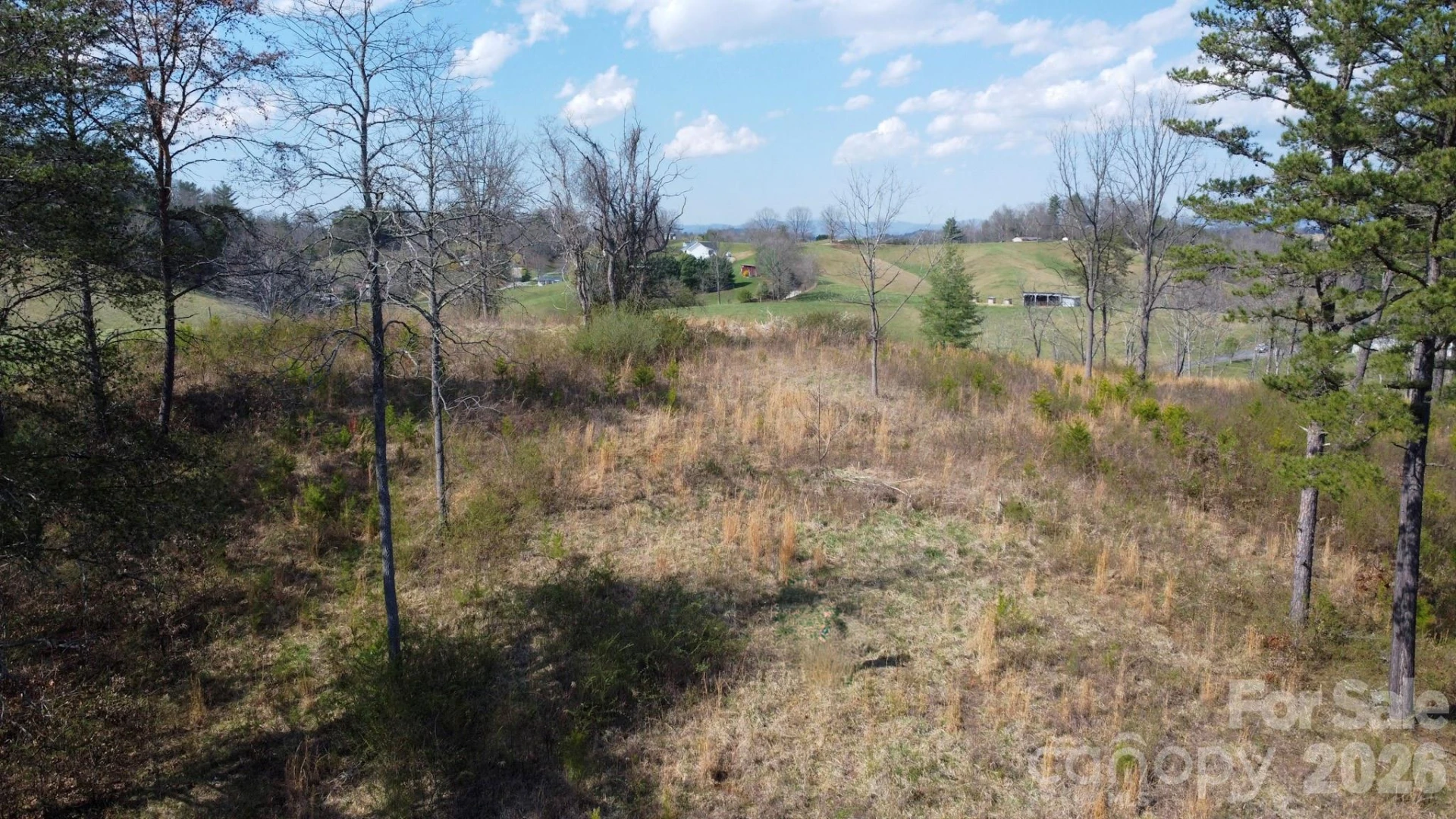 99999 Fletcher Martin Road - Photo 47