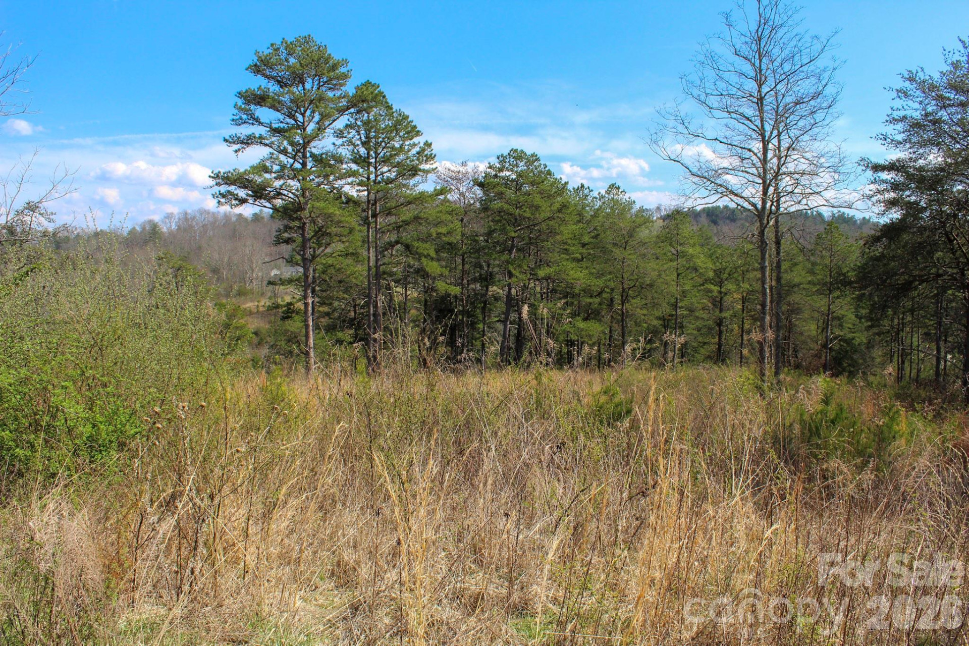 99999 Fletcher Martin Road - Photo 9