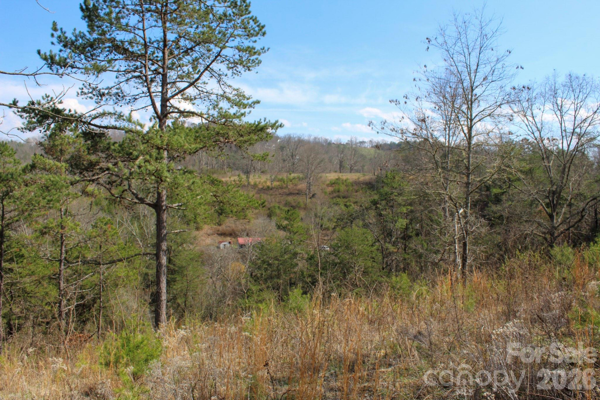 99999 Fletcher Martin Road - Photo 10