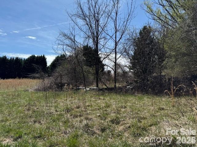 7 Pressley Branch Road - Photo 2