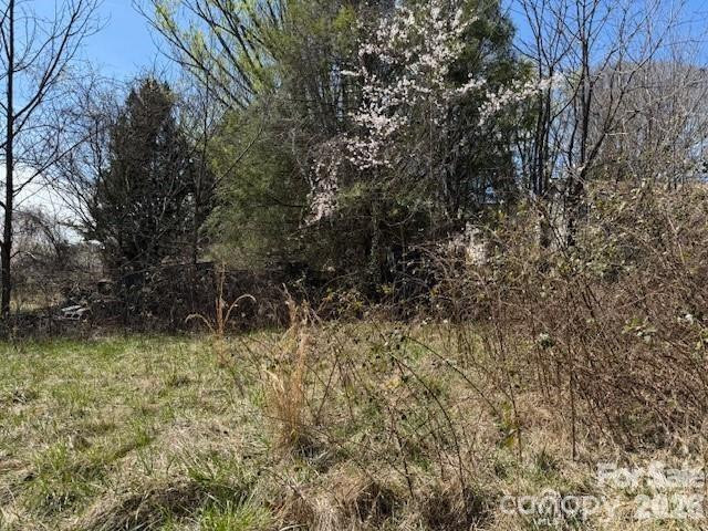 7 Pressley Branch Road - Photo 3