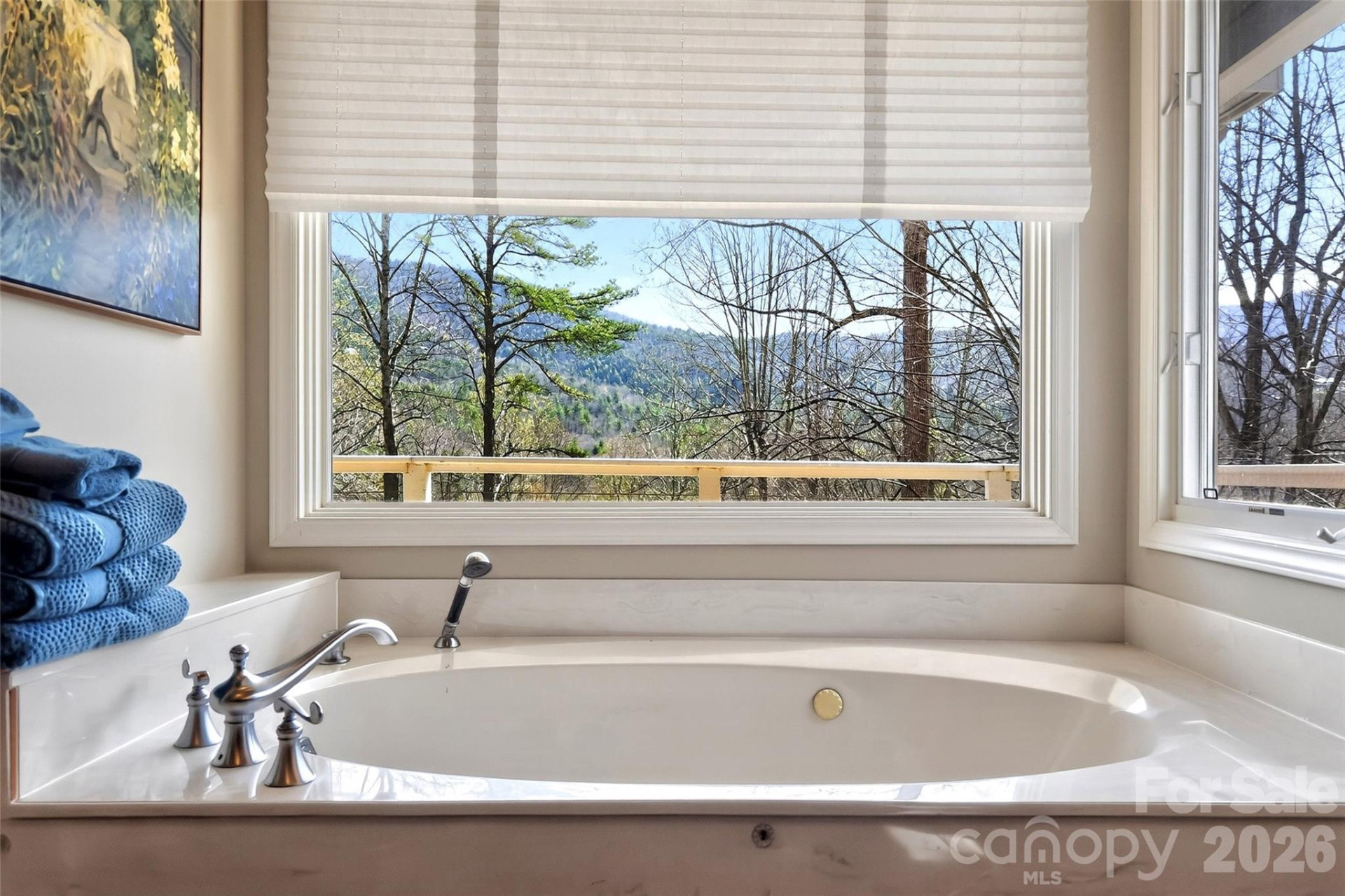 525 Blue Ridge Drive - Photo 27