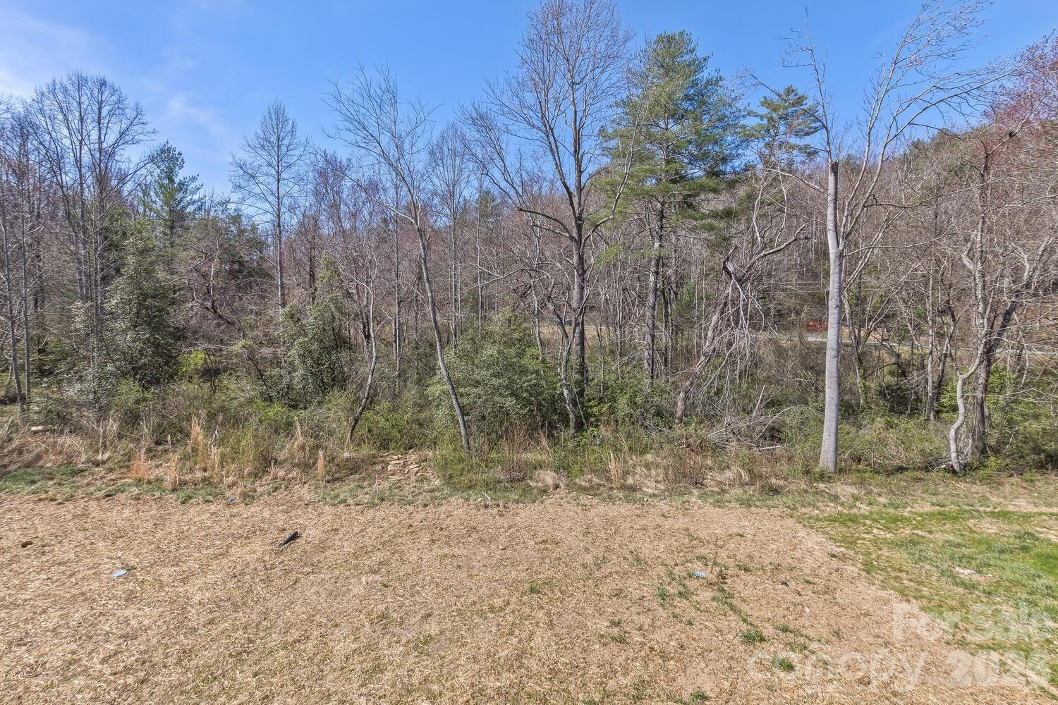 231 EDGEWOOD Road #5 - Photo 2