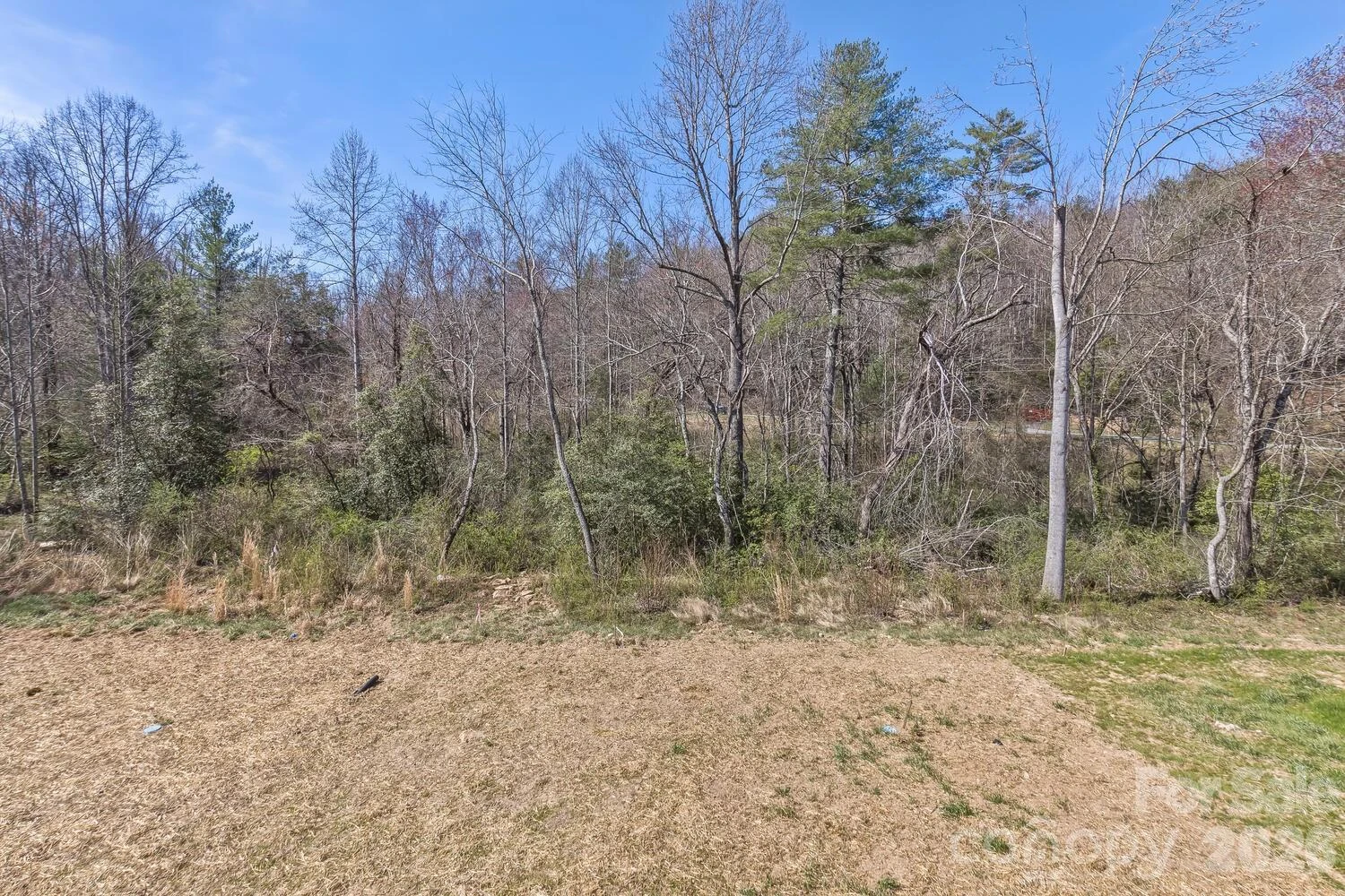231 EDGEWOOD Road #5 - Photo 2