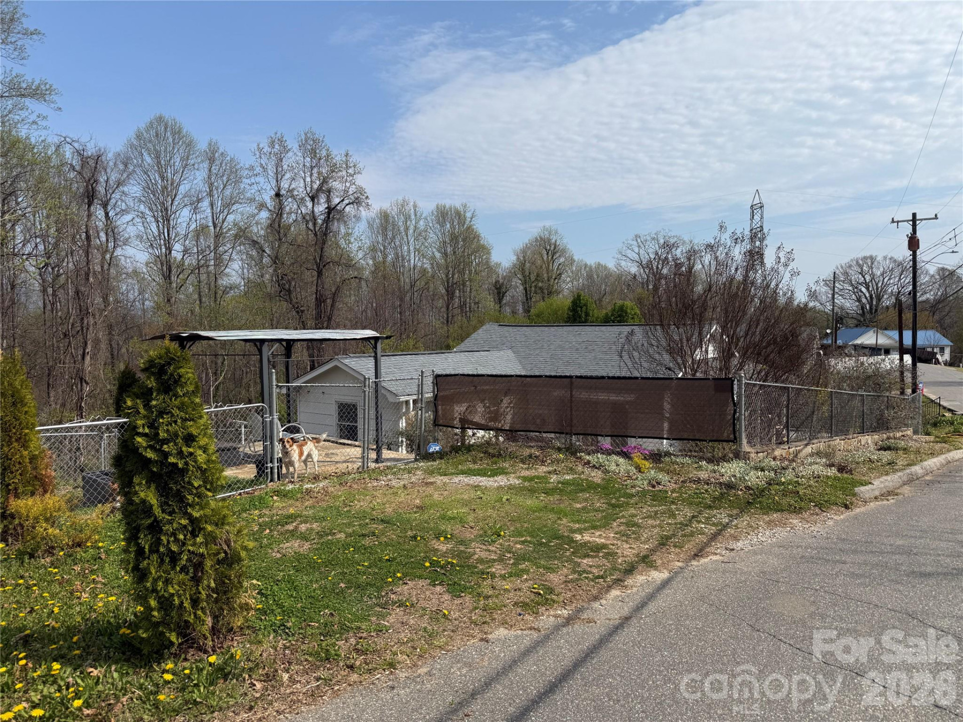 119 Seagle Street - Photo 22