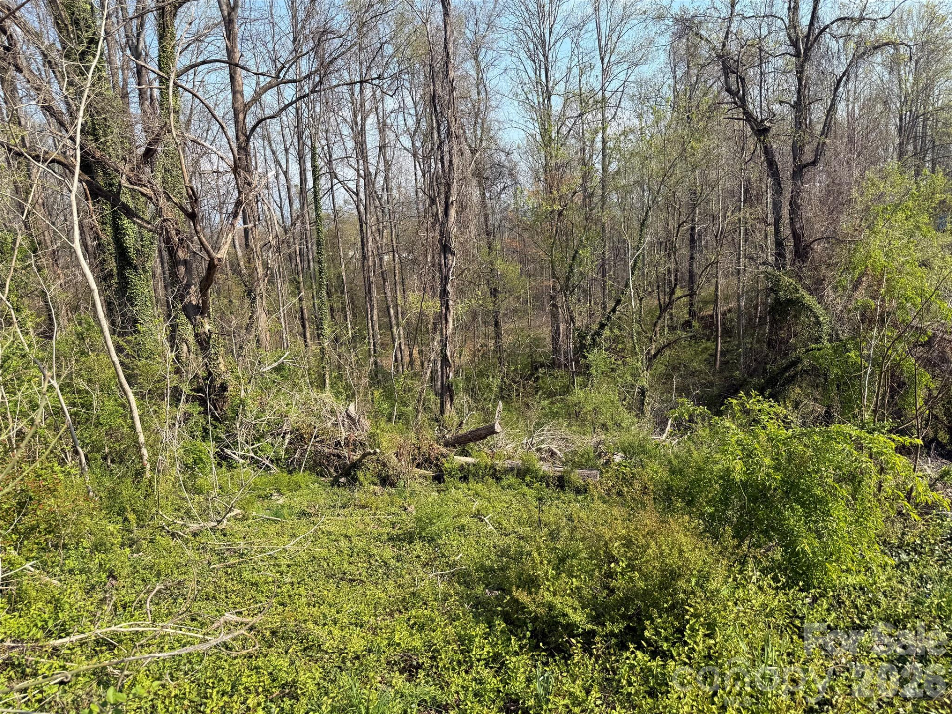 119 Seagle Street - Photo 34