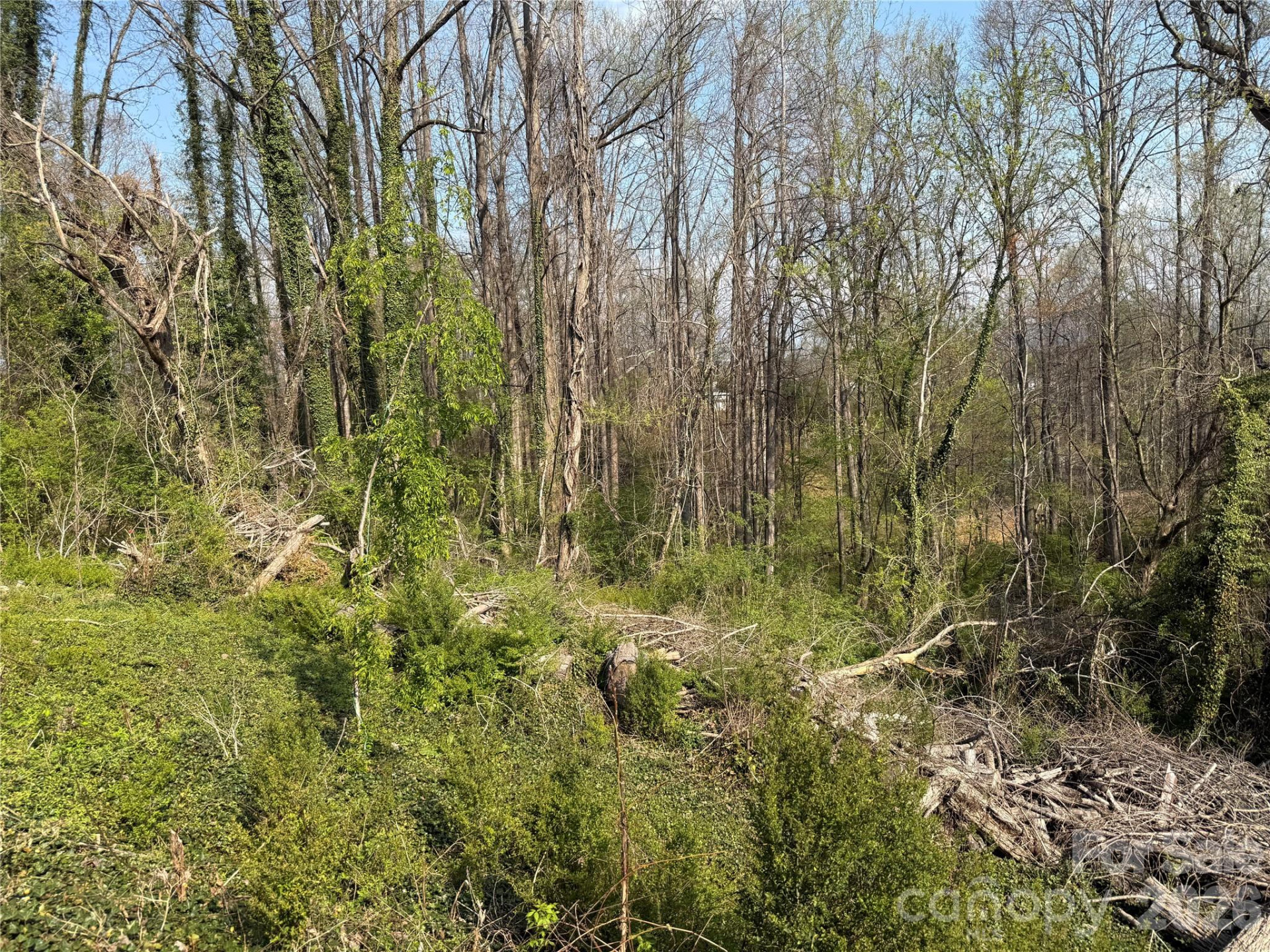 119 Seagle Street - Photo 35