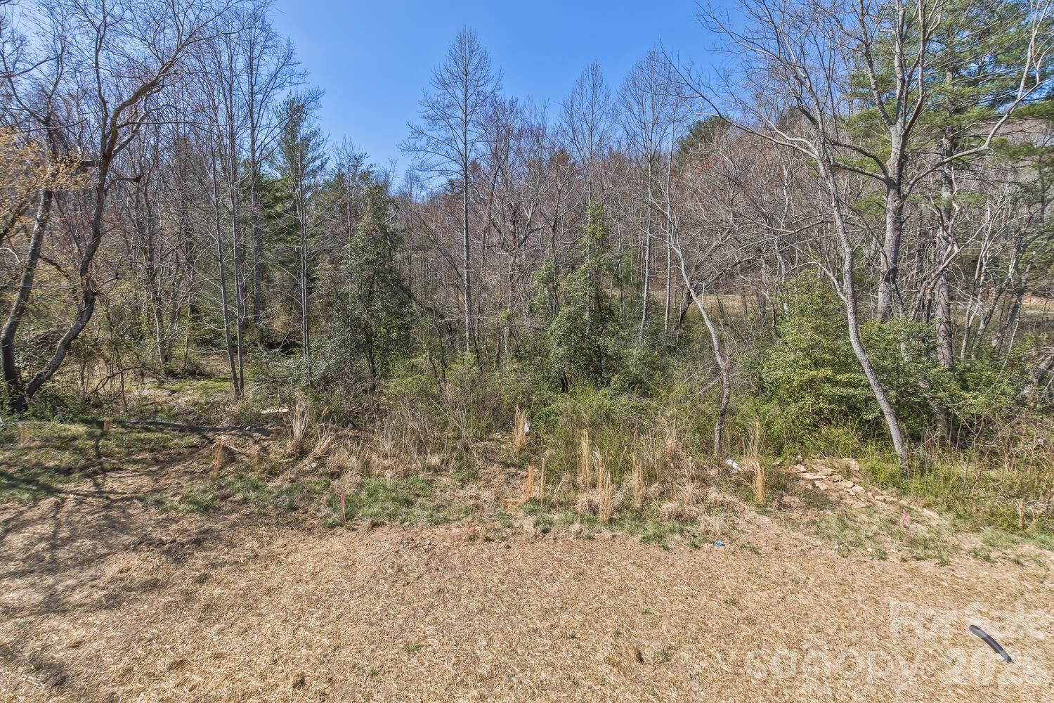 233 EDGEWOOD Road - Photo 7