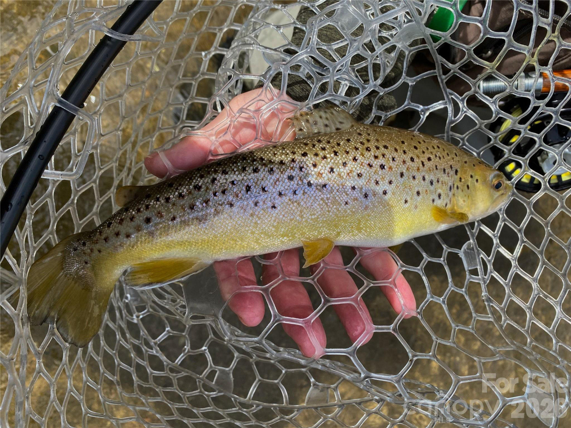 48 Back River Trail - Photo 25